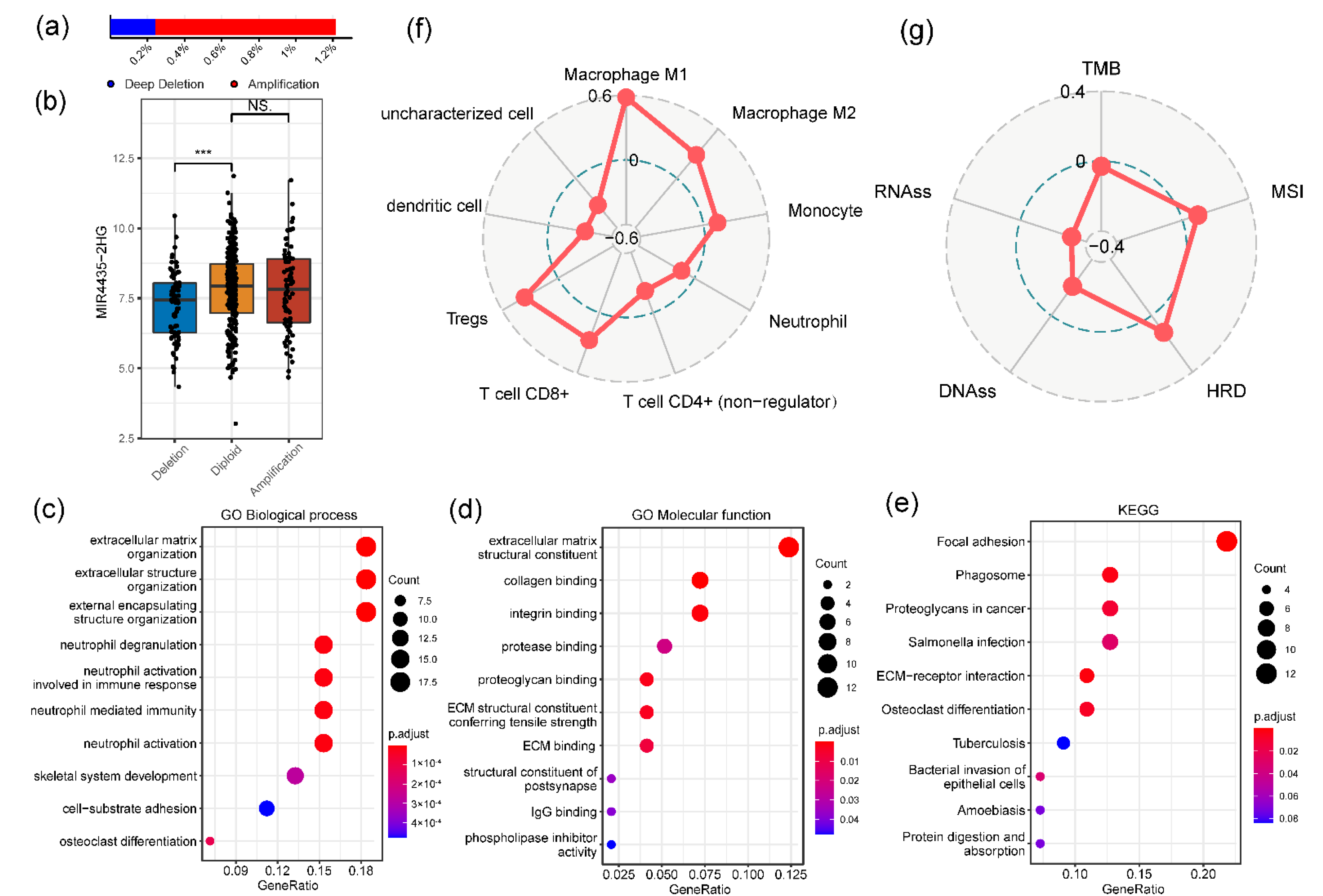 Genes 13 01462 g004 Genes 13 01462 g004