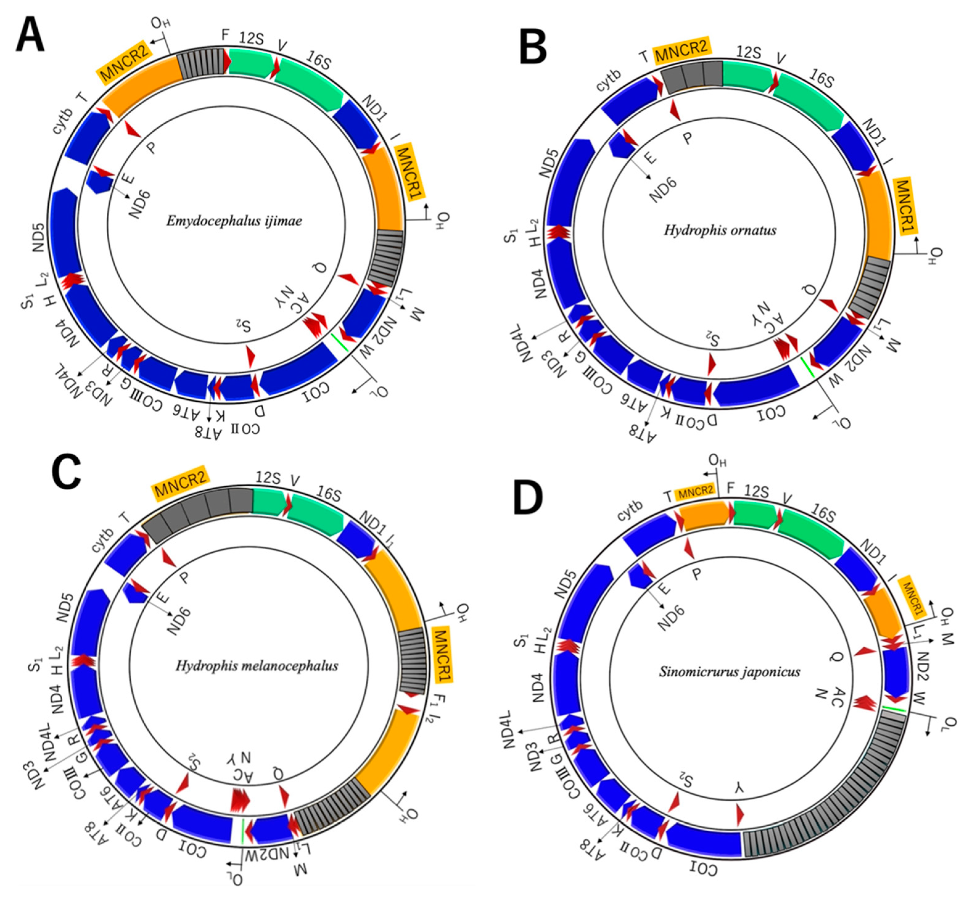 Genes 13 01470 g002 Genes 13 01470 g002