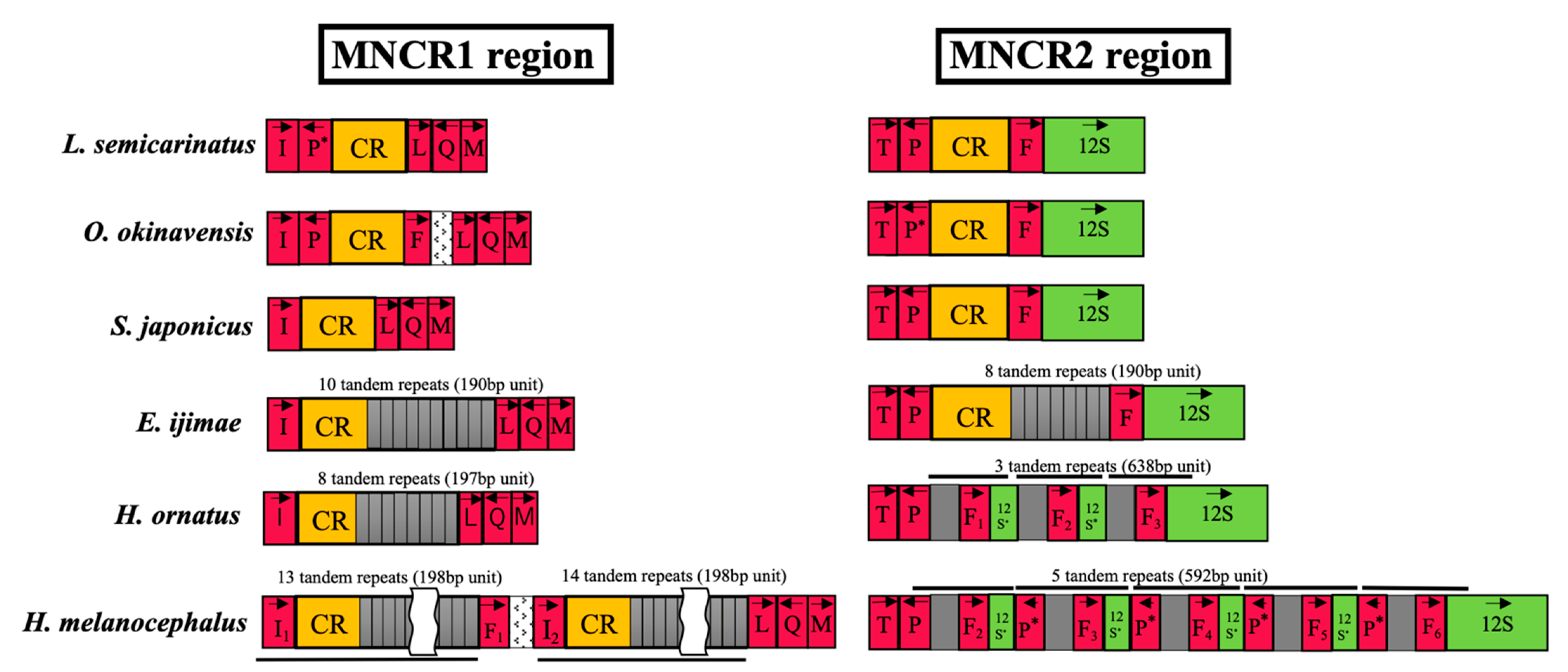 Genes 13 01470 g003 Genes 13 01470 g003