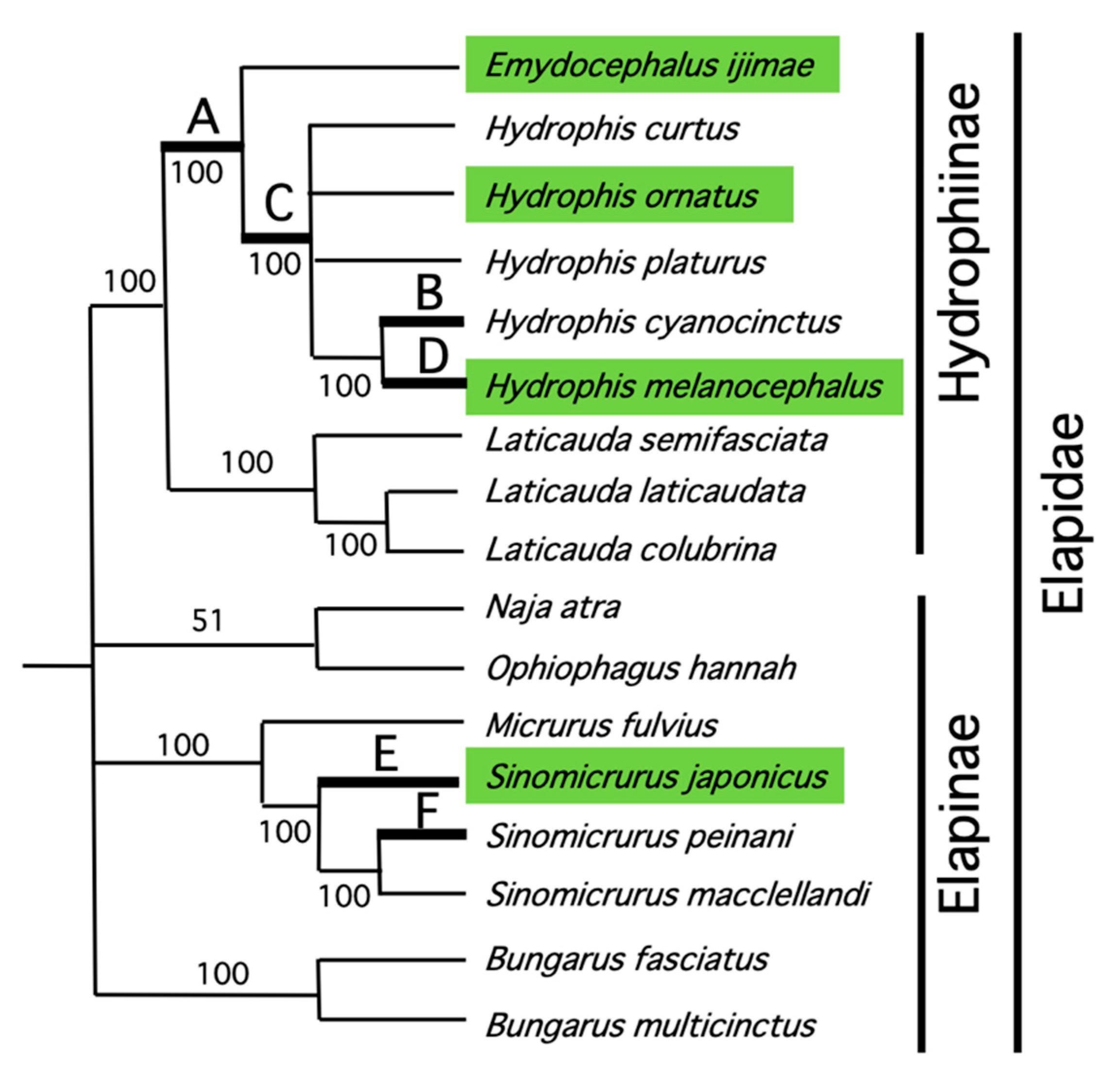 Genes 13 01470 g004 Genes 13 01470 g004
