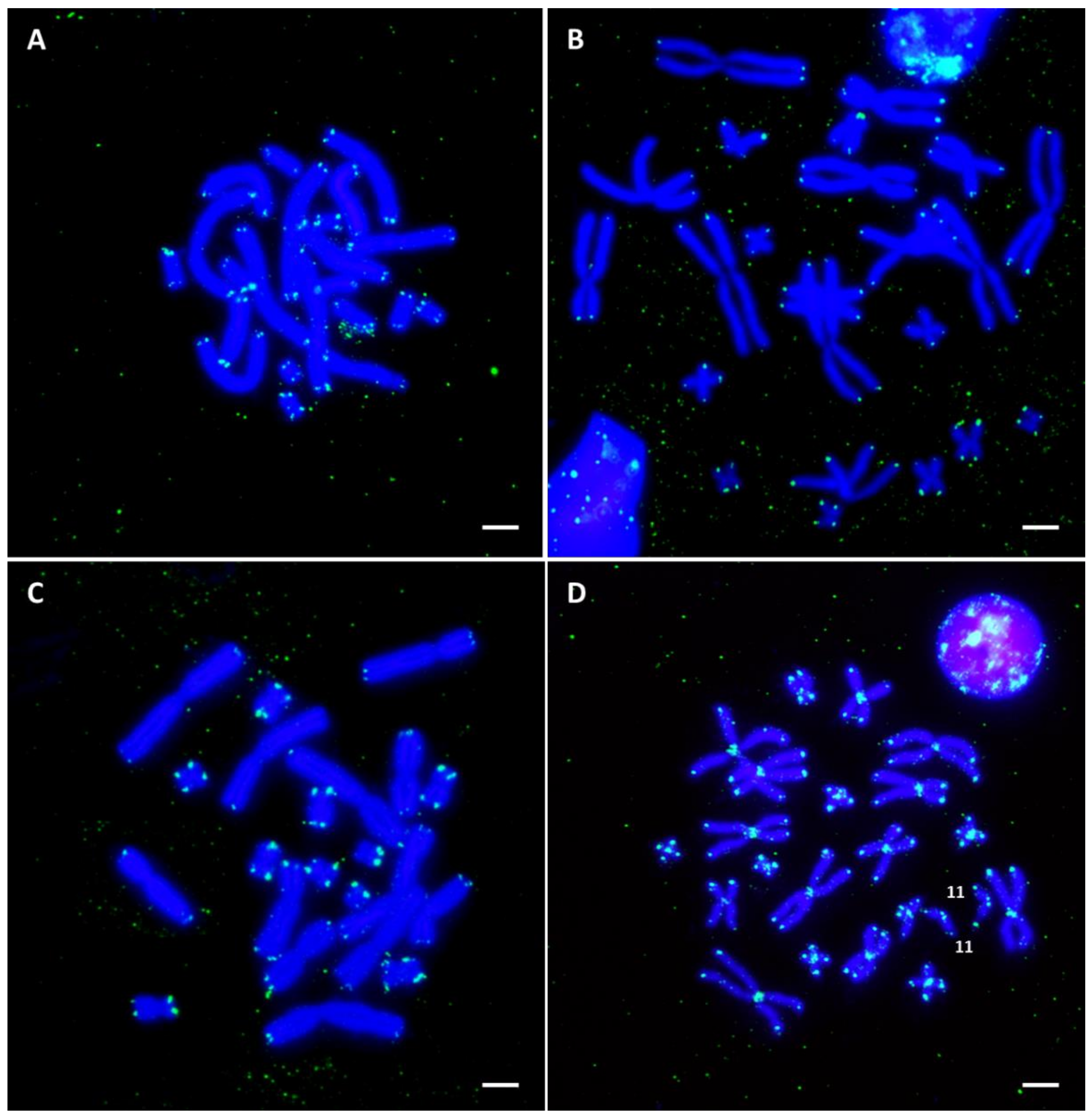 Genes 13 01475 g004 Genes 13 01475 g004