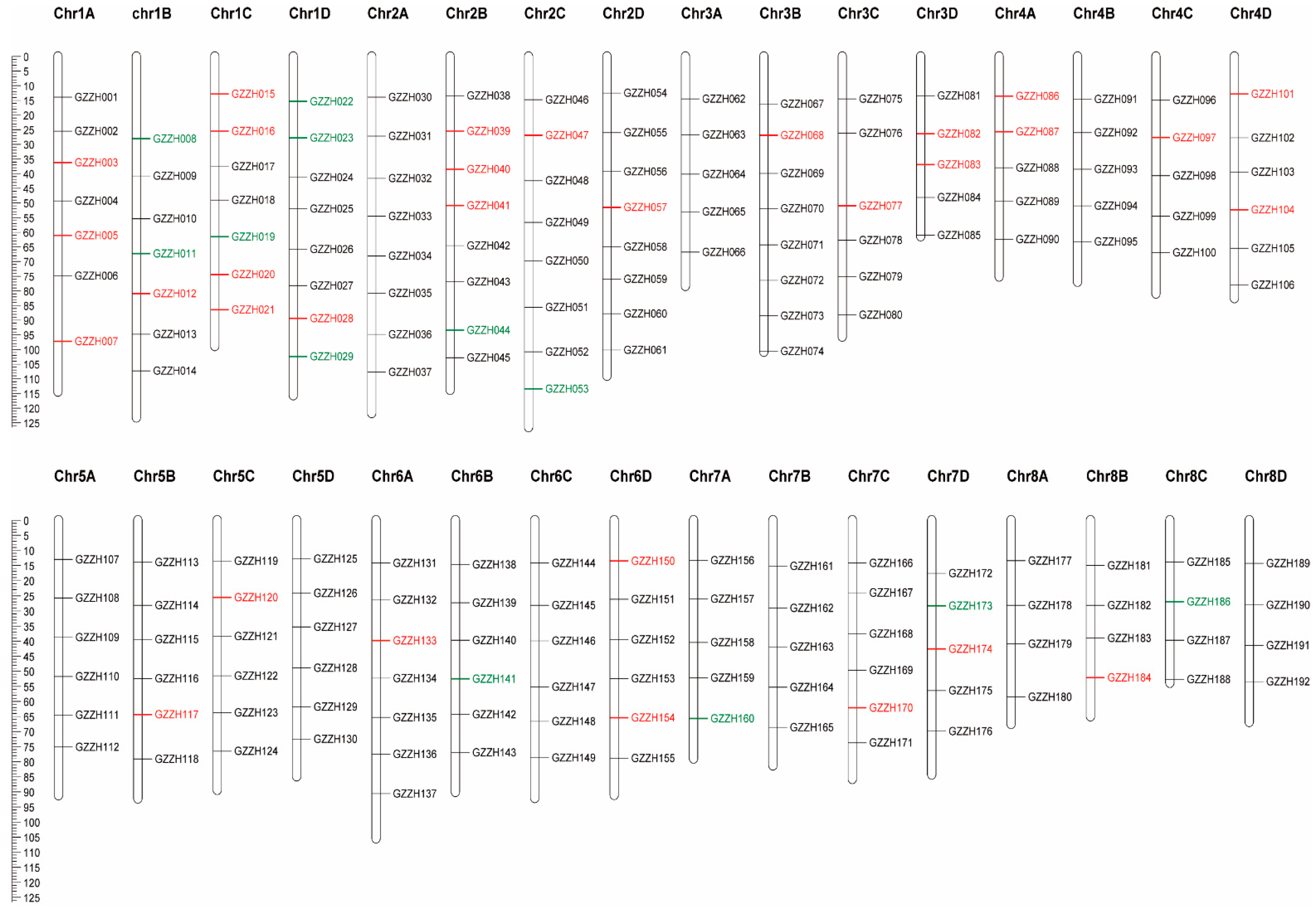 Genes 13 01477 g003 550