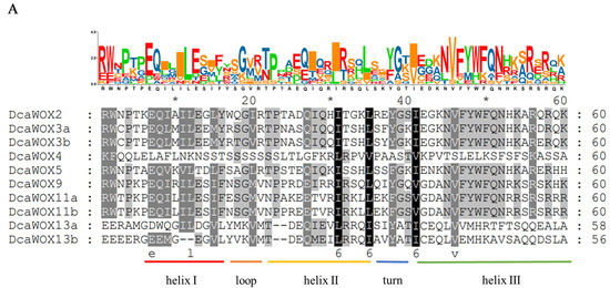 Genome-Wide Analysis of the WOX Transcription Factor Genes