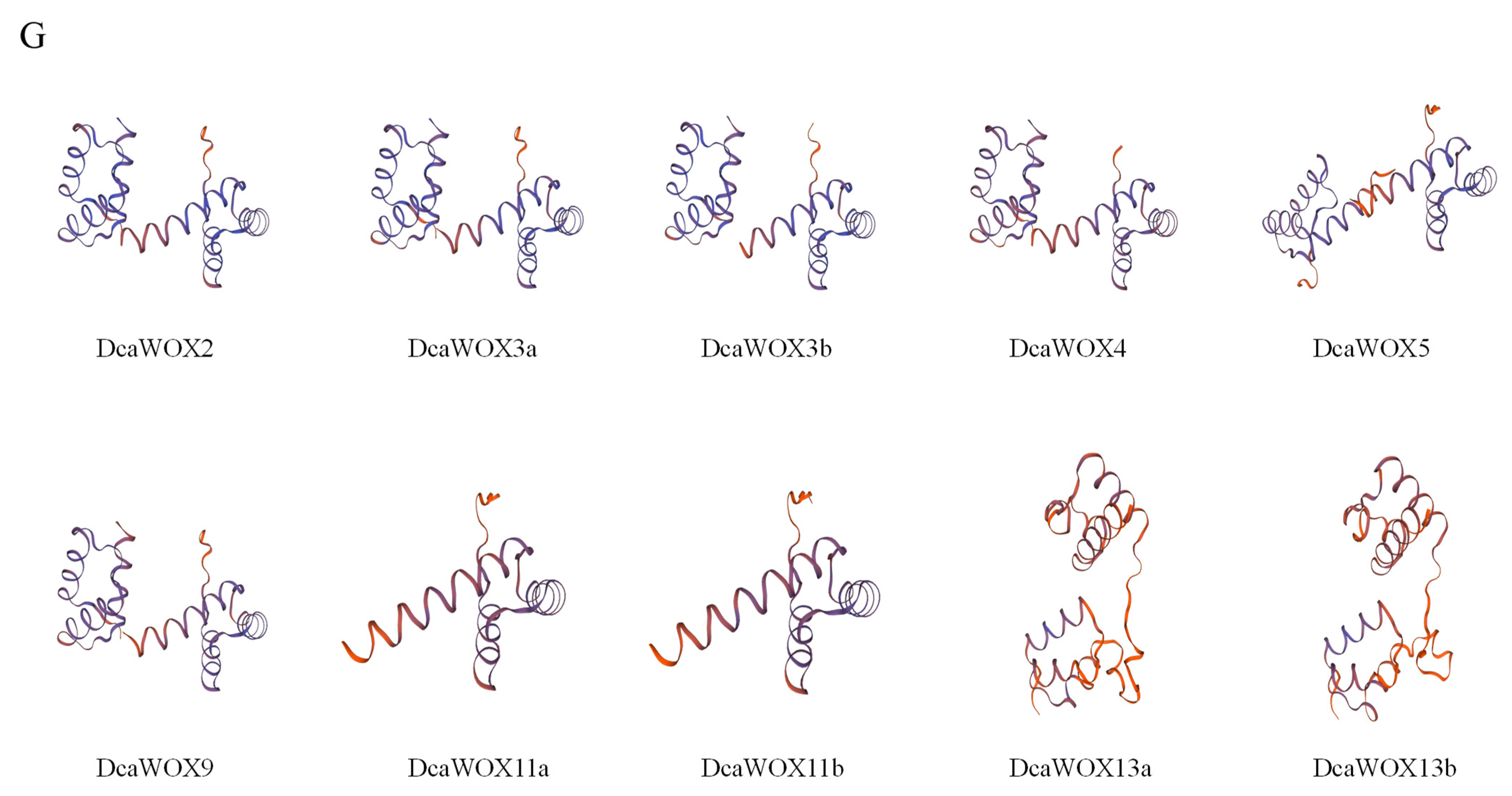 Genes 13 01481 g002c