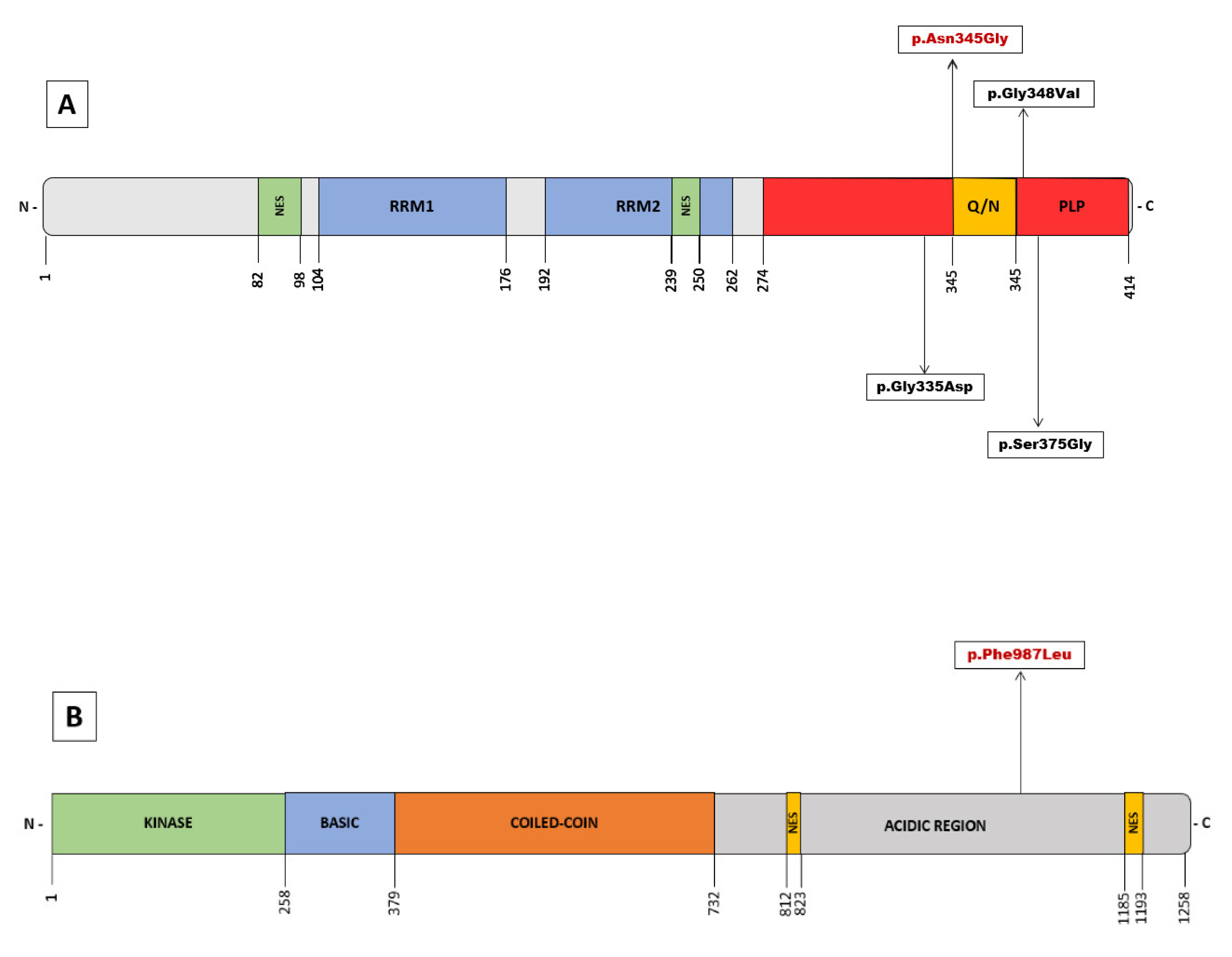 Genes 13 01483 g002 550