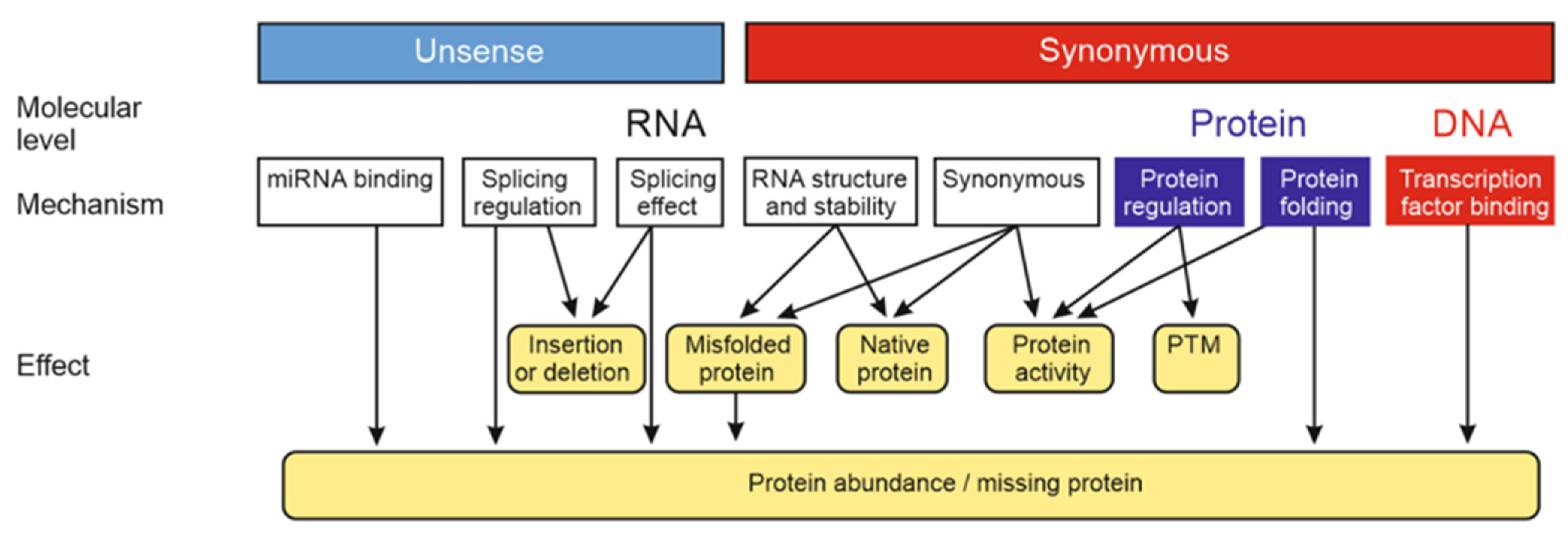 Genes 13 01485 g002 Genes 13 01485 g002