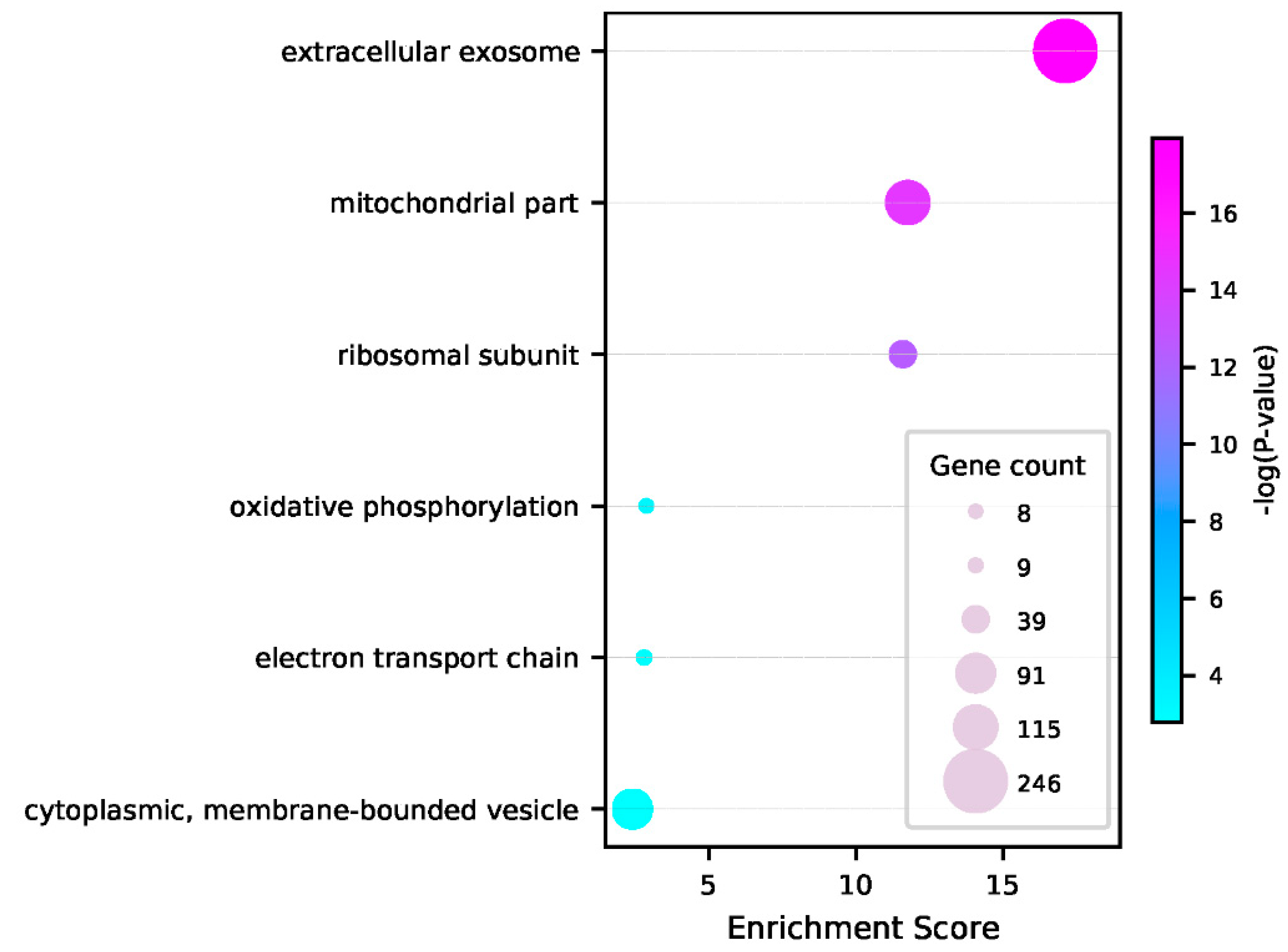 Genes 13 01488 g005 Genes 13 01488 g005