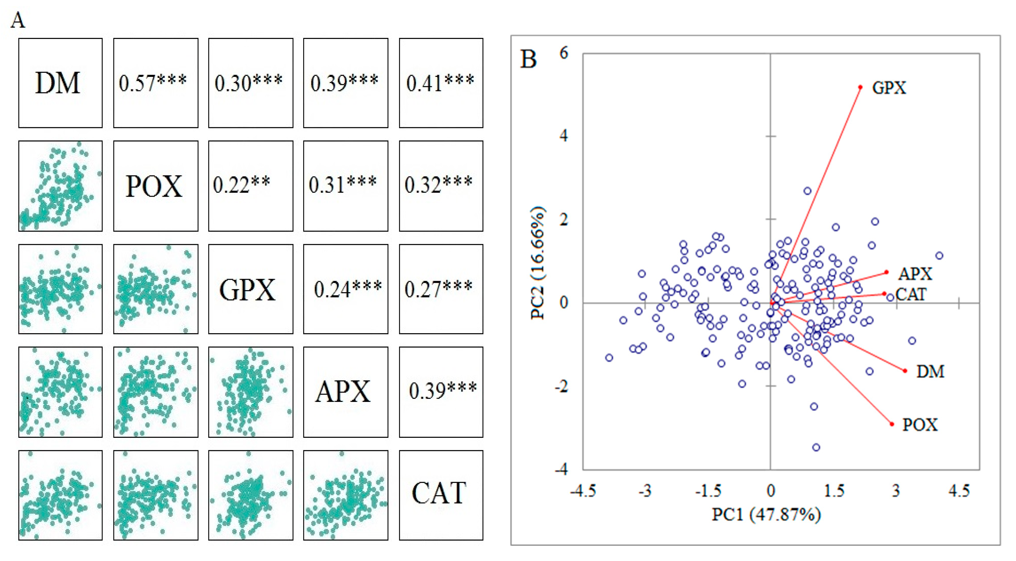 Genes 13 01491 g003 Genes 13 01491 g003