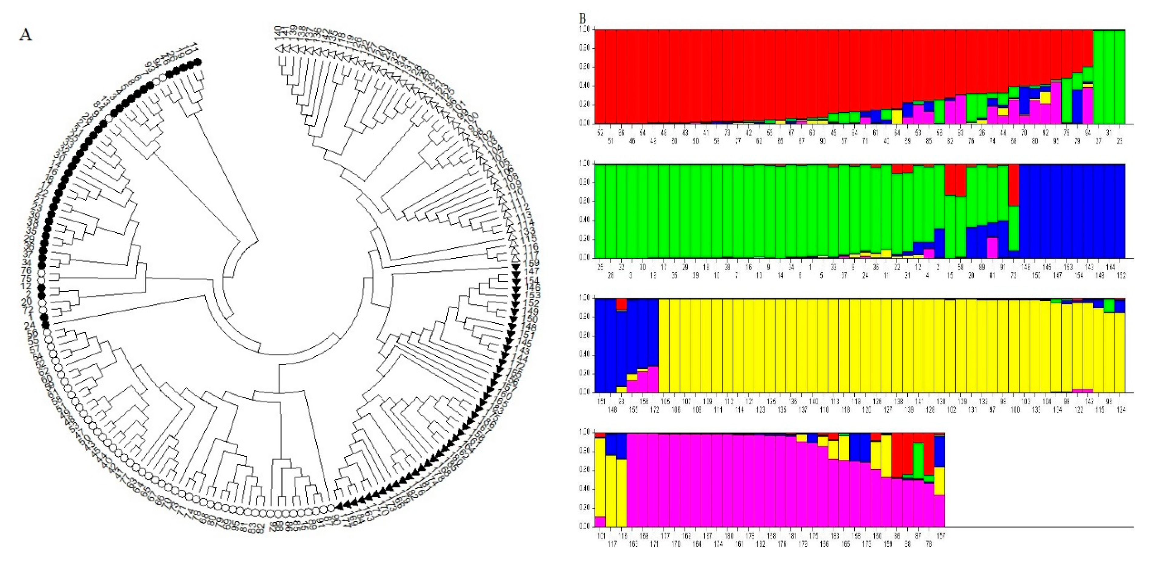 Genes 13 01491 g004 Genes 13 01491 g004