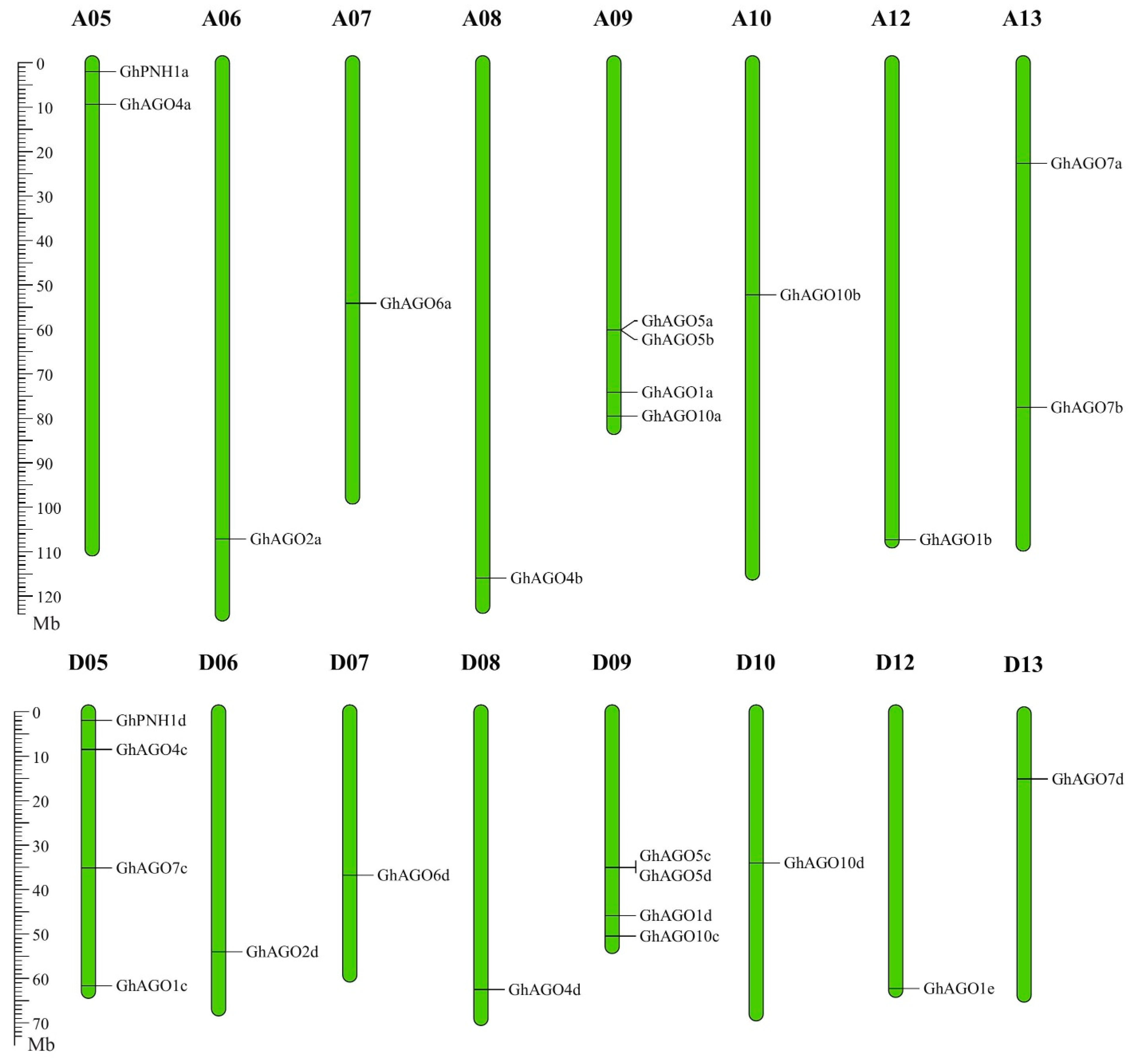 Genes 13 01492 g002 550