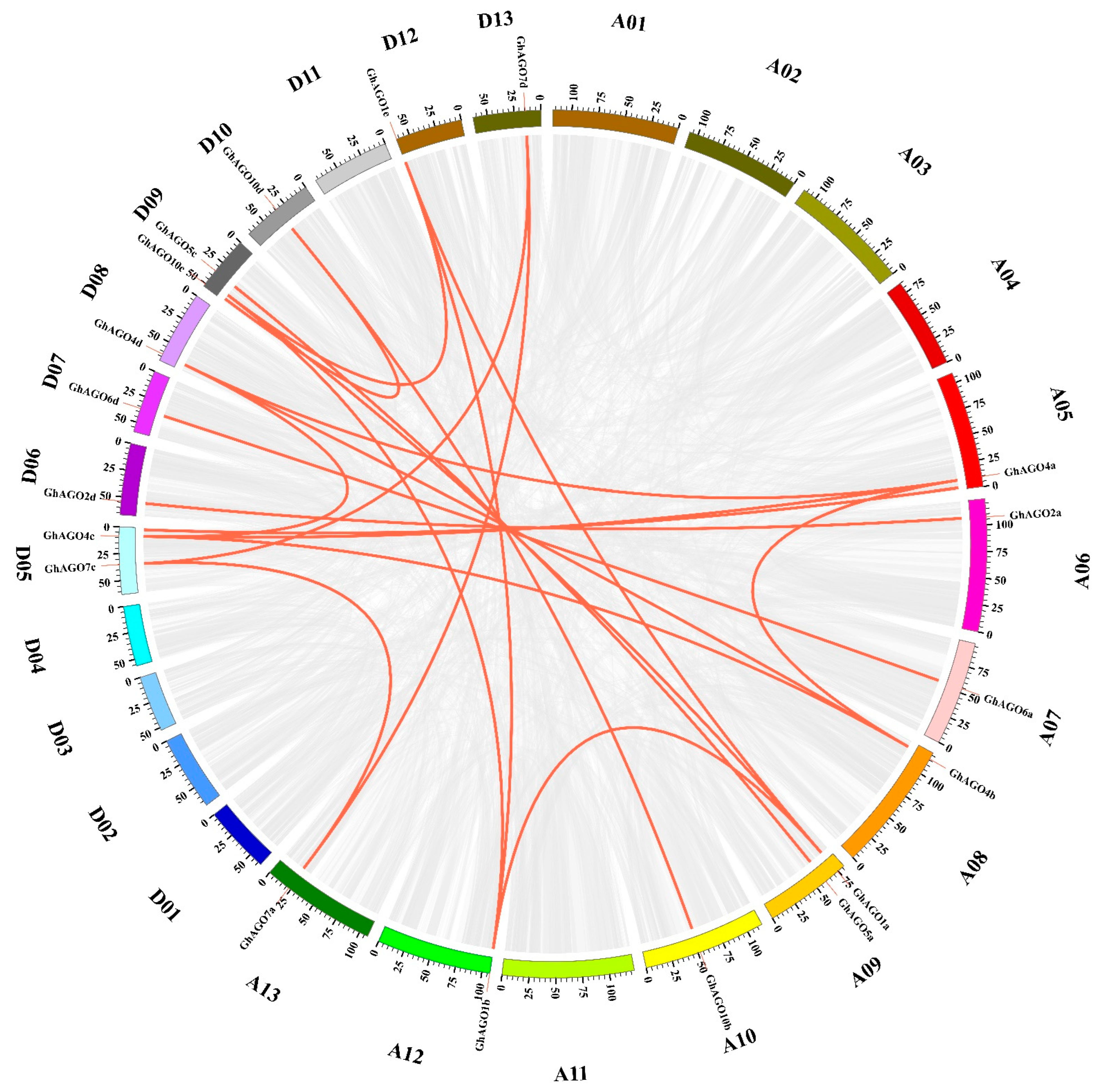 Genes 13 01492 g003 550