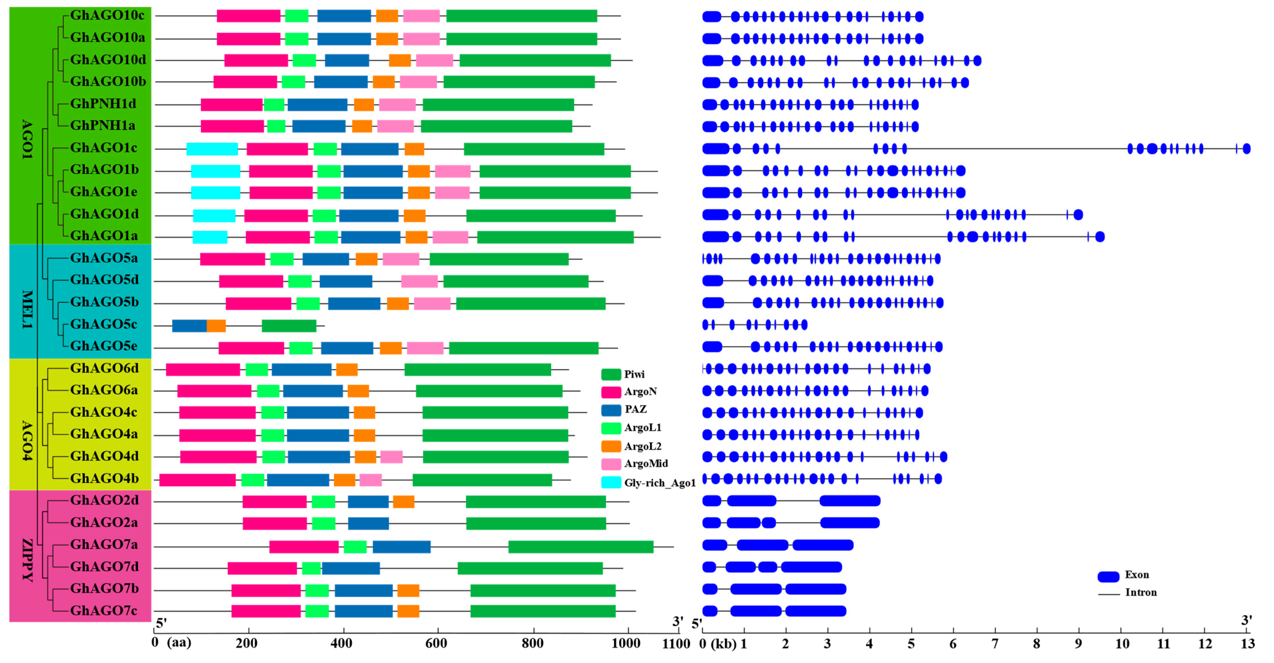 Genes 13 01492 g004 550