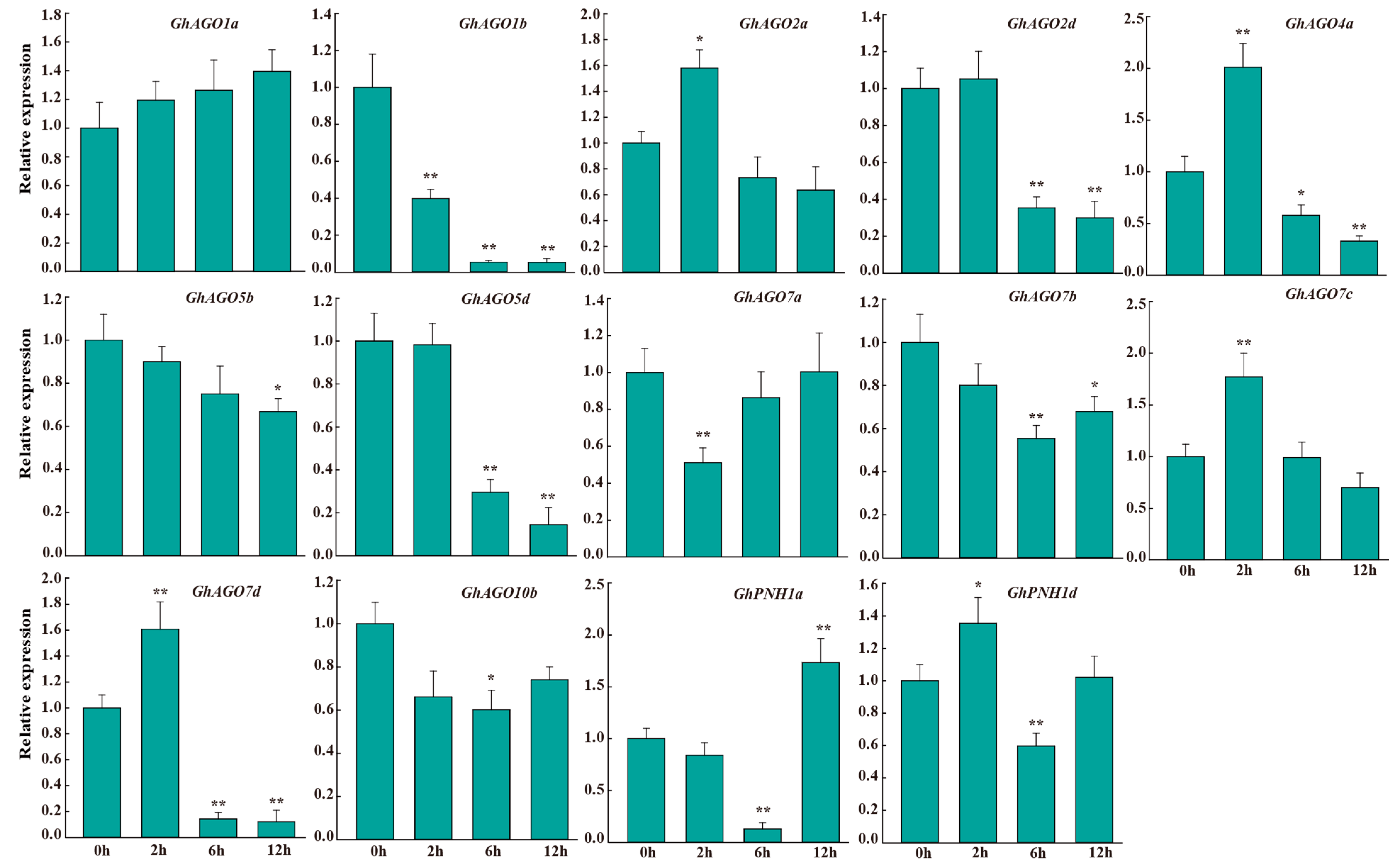 Genes 13 01492 g007 550
