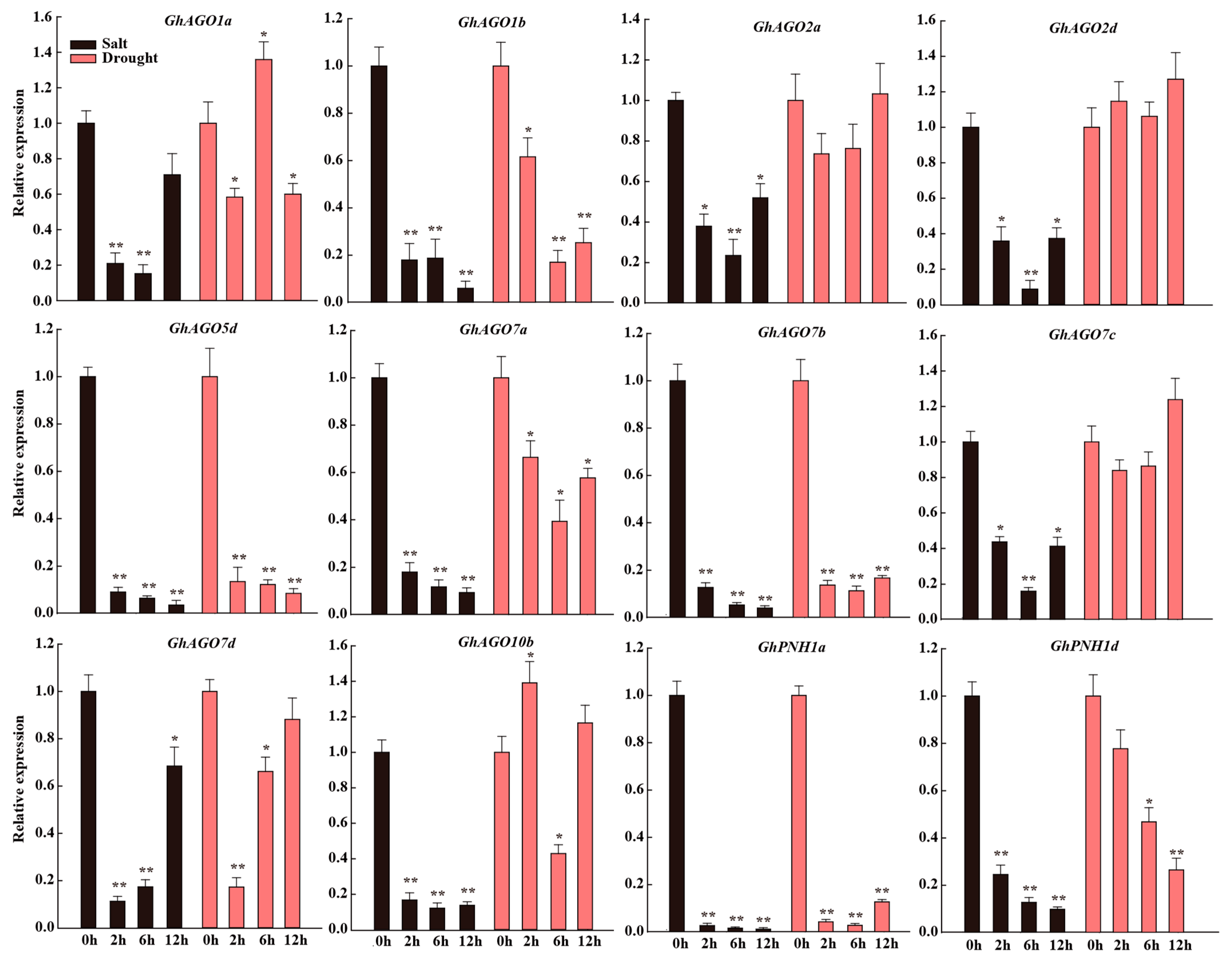Genes 13 01492 g008 550