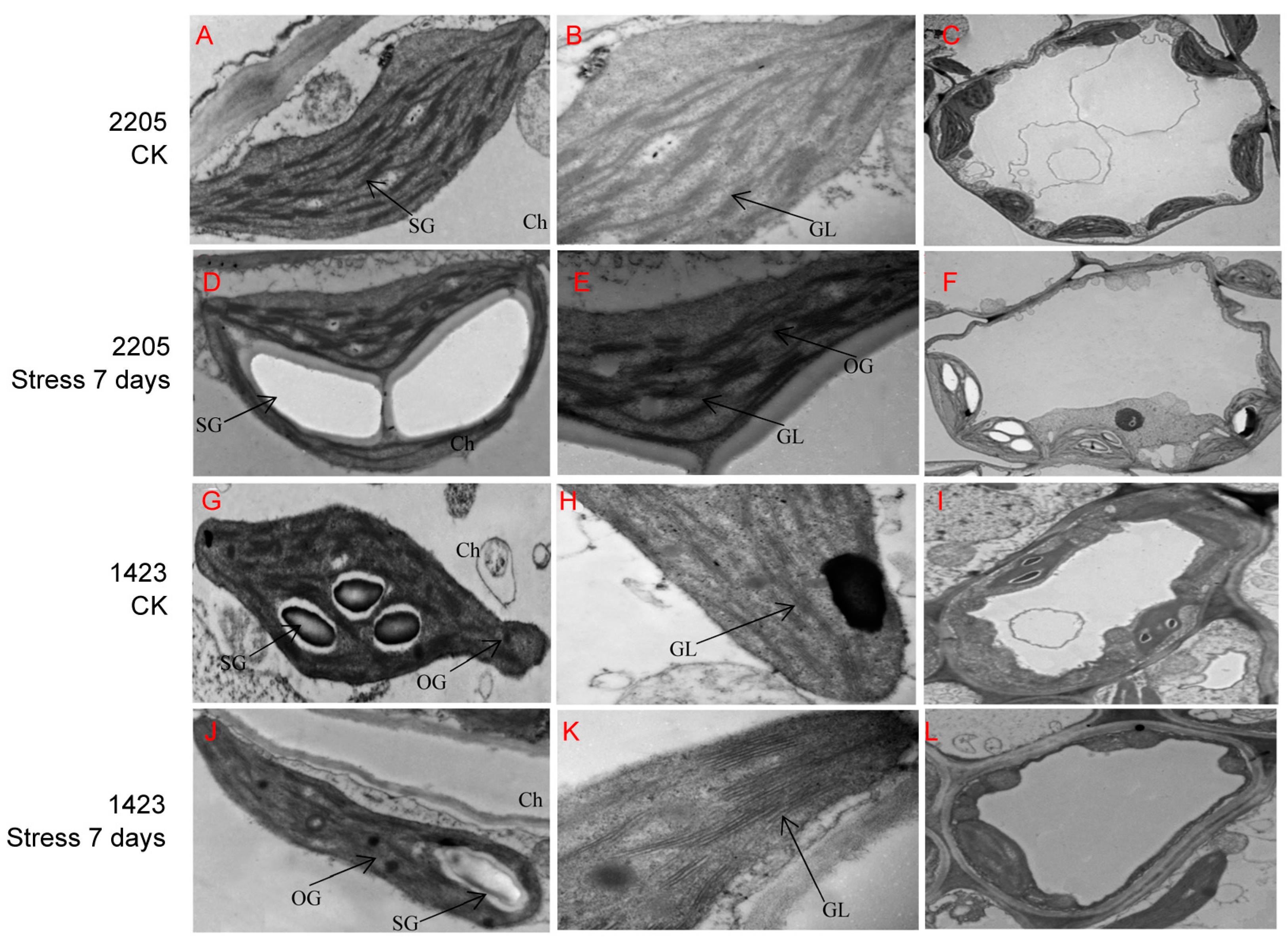 Genes 13 01493 g002 550