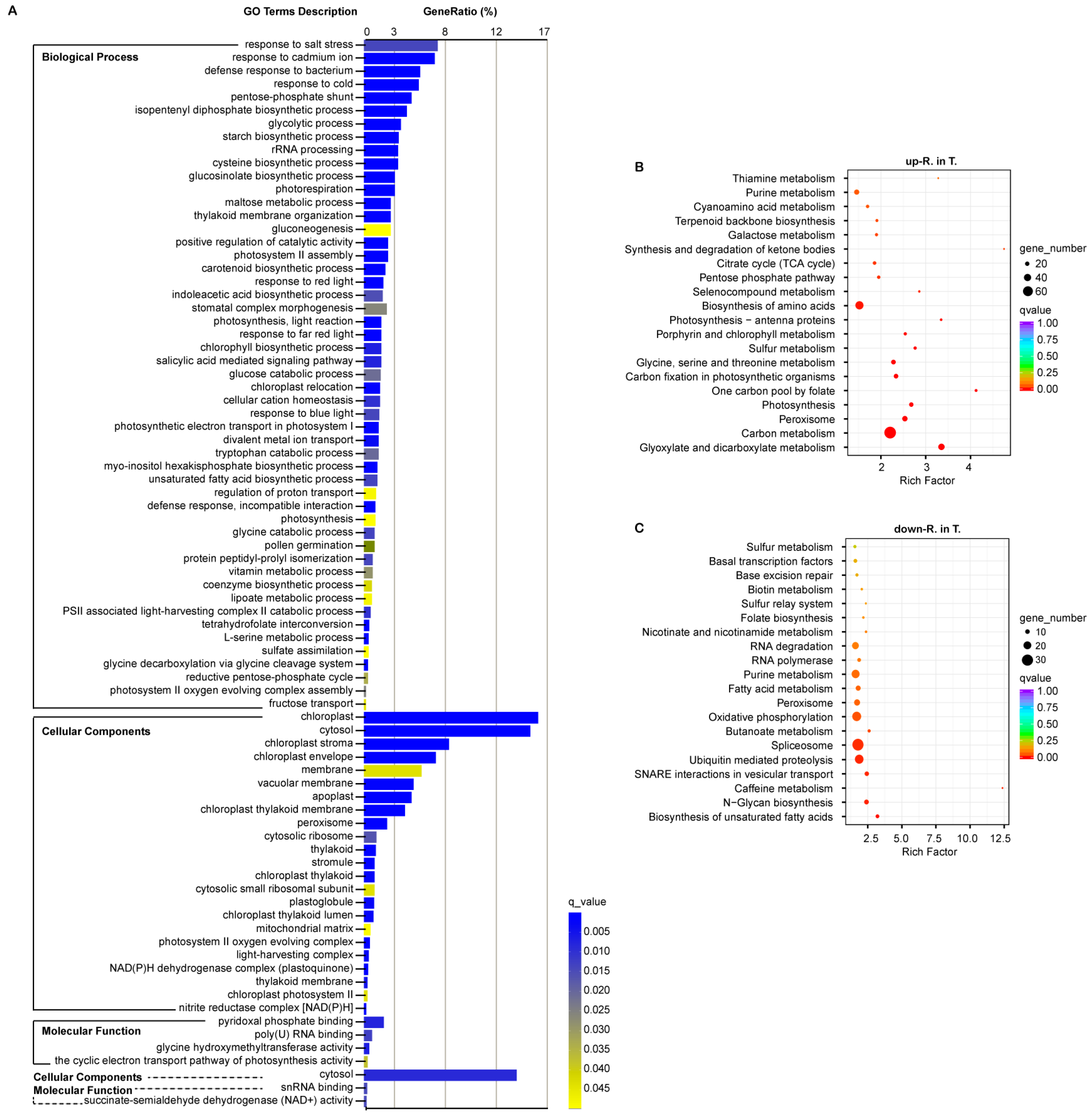Genes 13 01493 g005 550