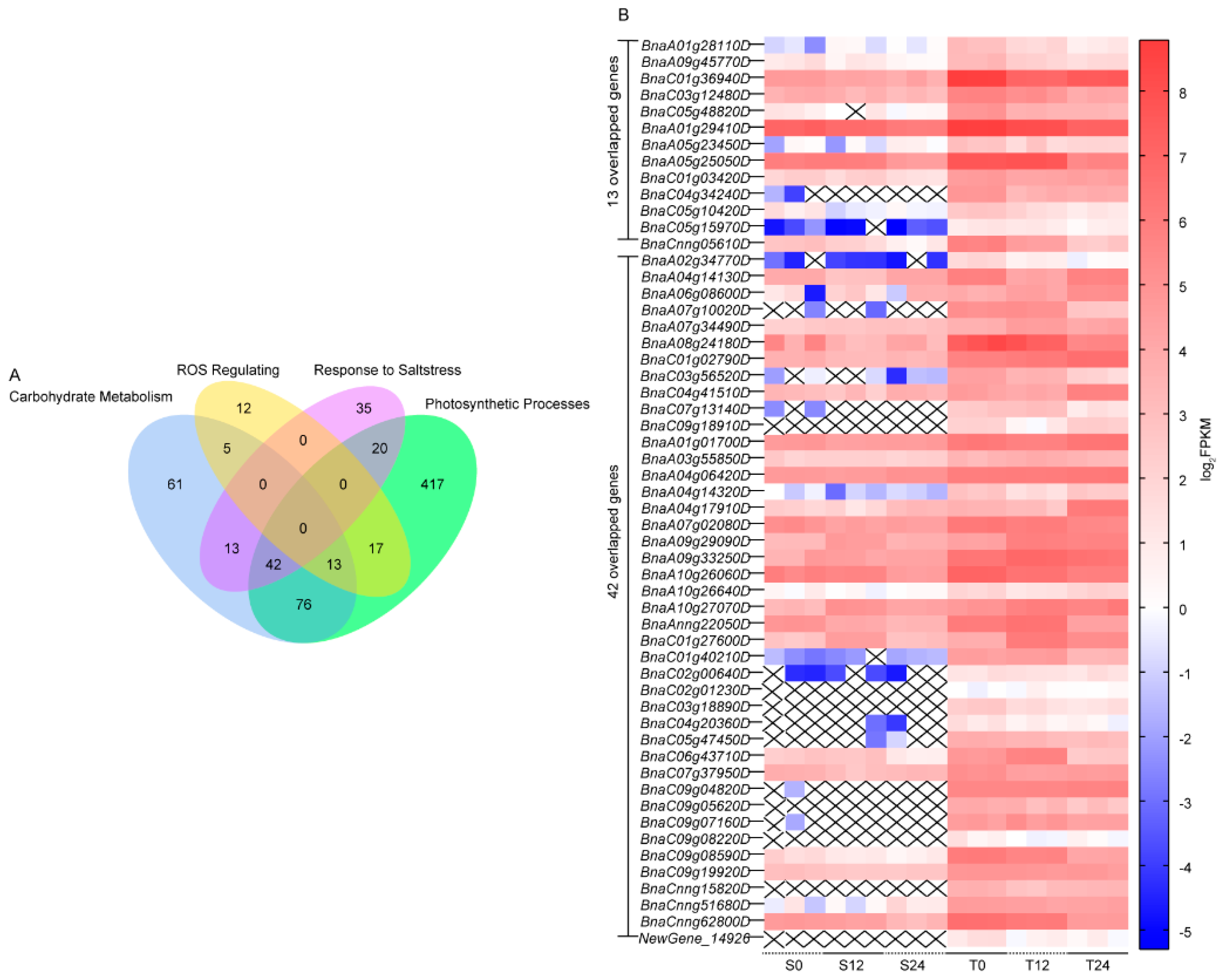 Genes 13 01493 g006 550