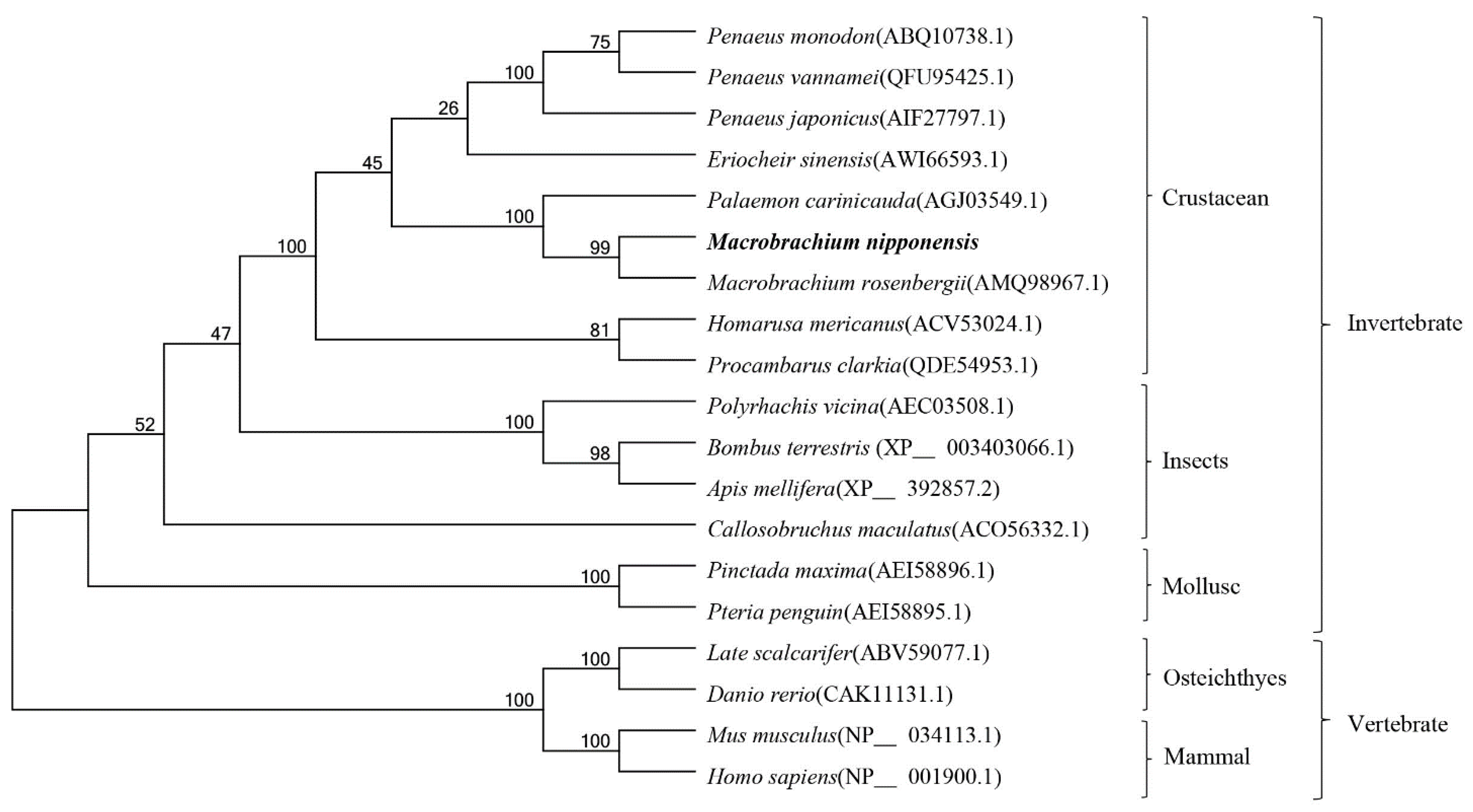 Genes 13 01495 g003 550
