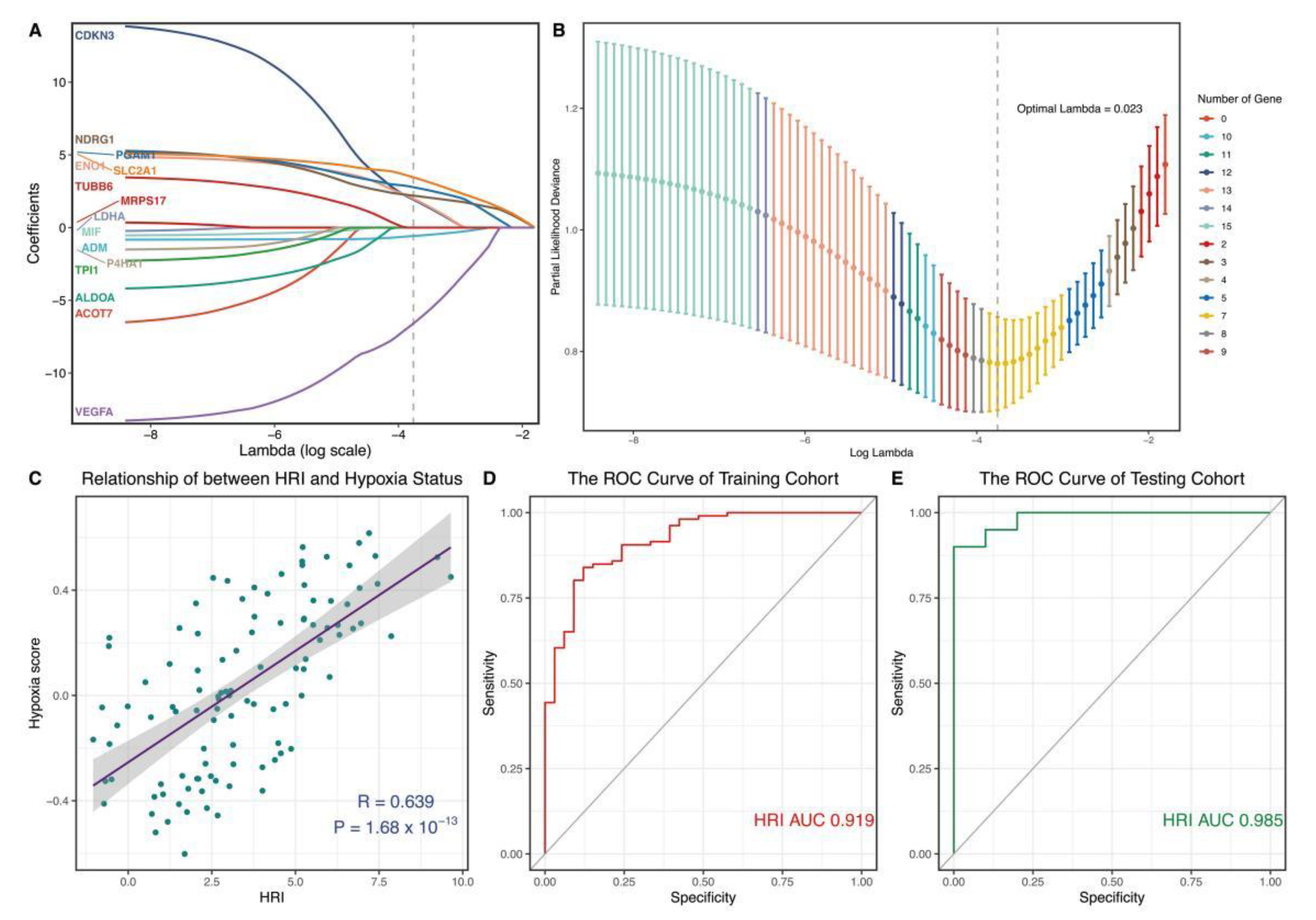 Genes 13 01501 g005 Genes 13 01501 g005