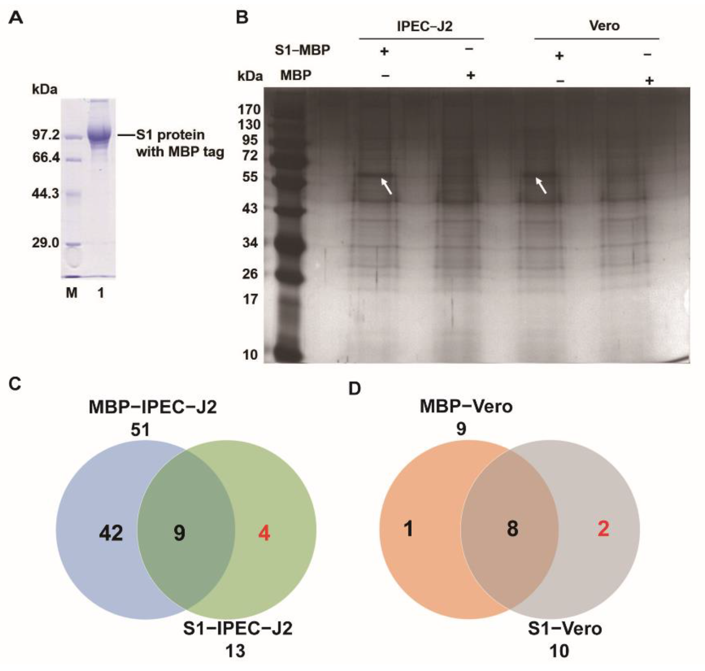 Genes 13 01504 g001 Genes 13 01504 g001