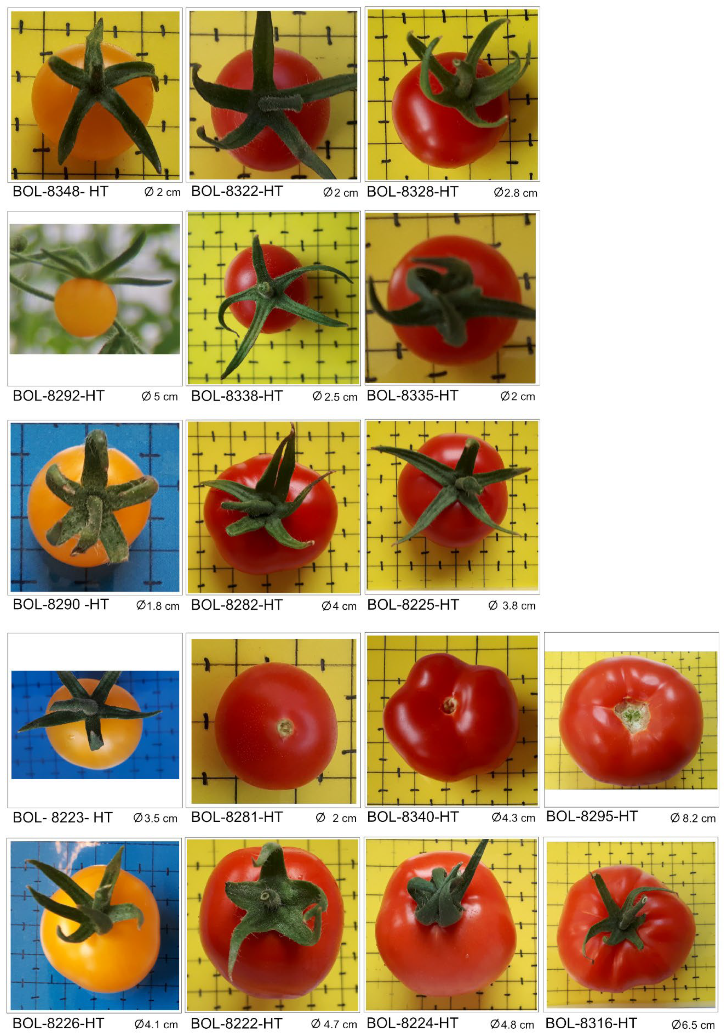 Genes 13 01505 g001 Genes 13 01505 g001