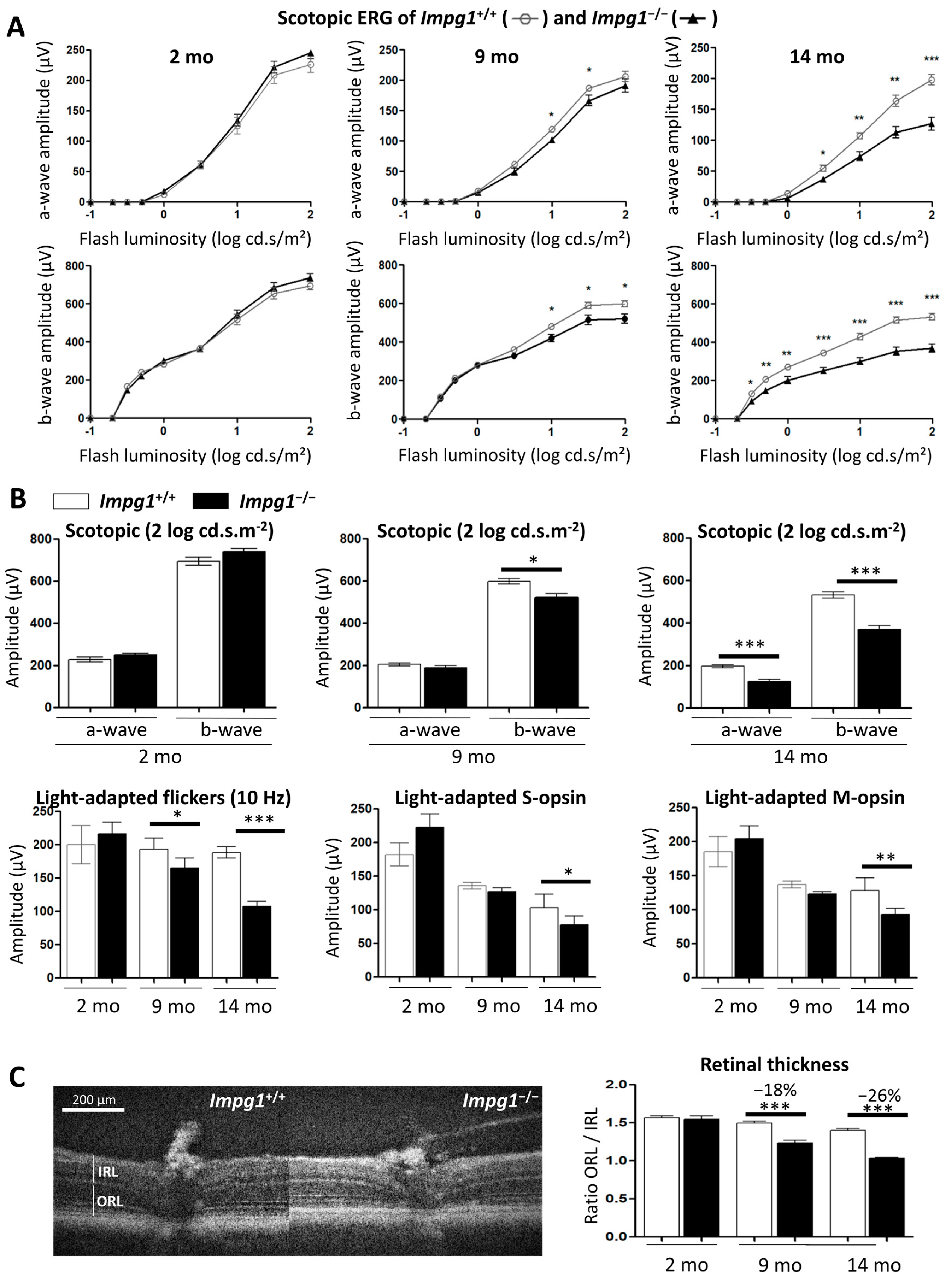 Genes 13 01508 g003 Genes 13 01508 g003