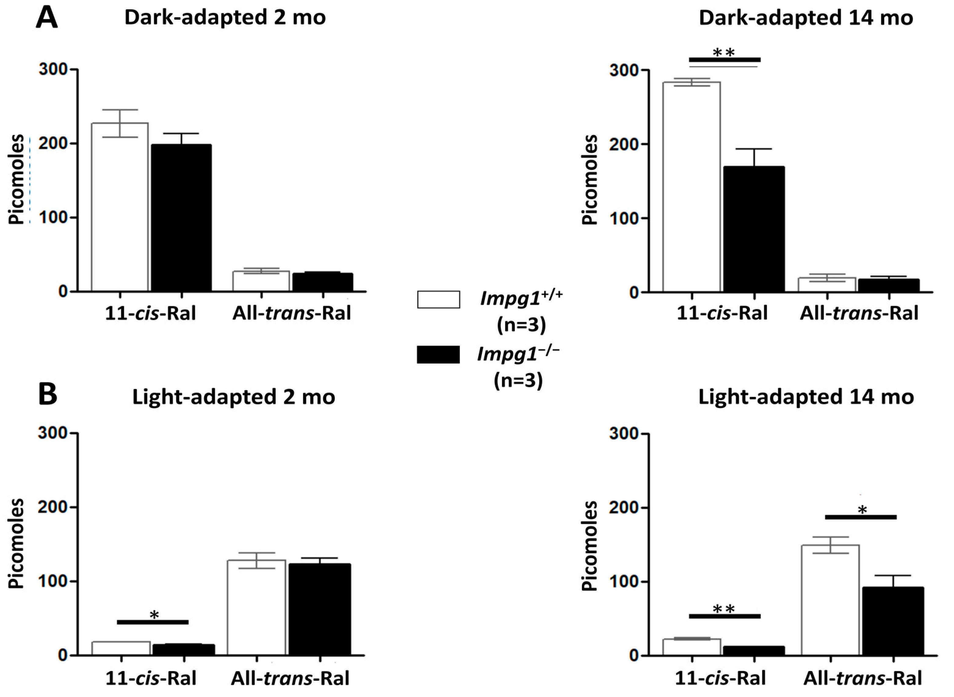 Genes 13 01508 g004 Genes 13 01508 g004