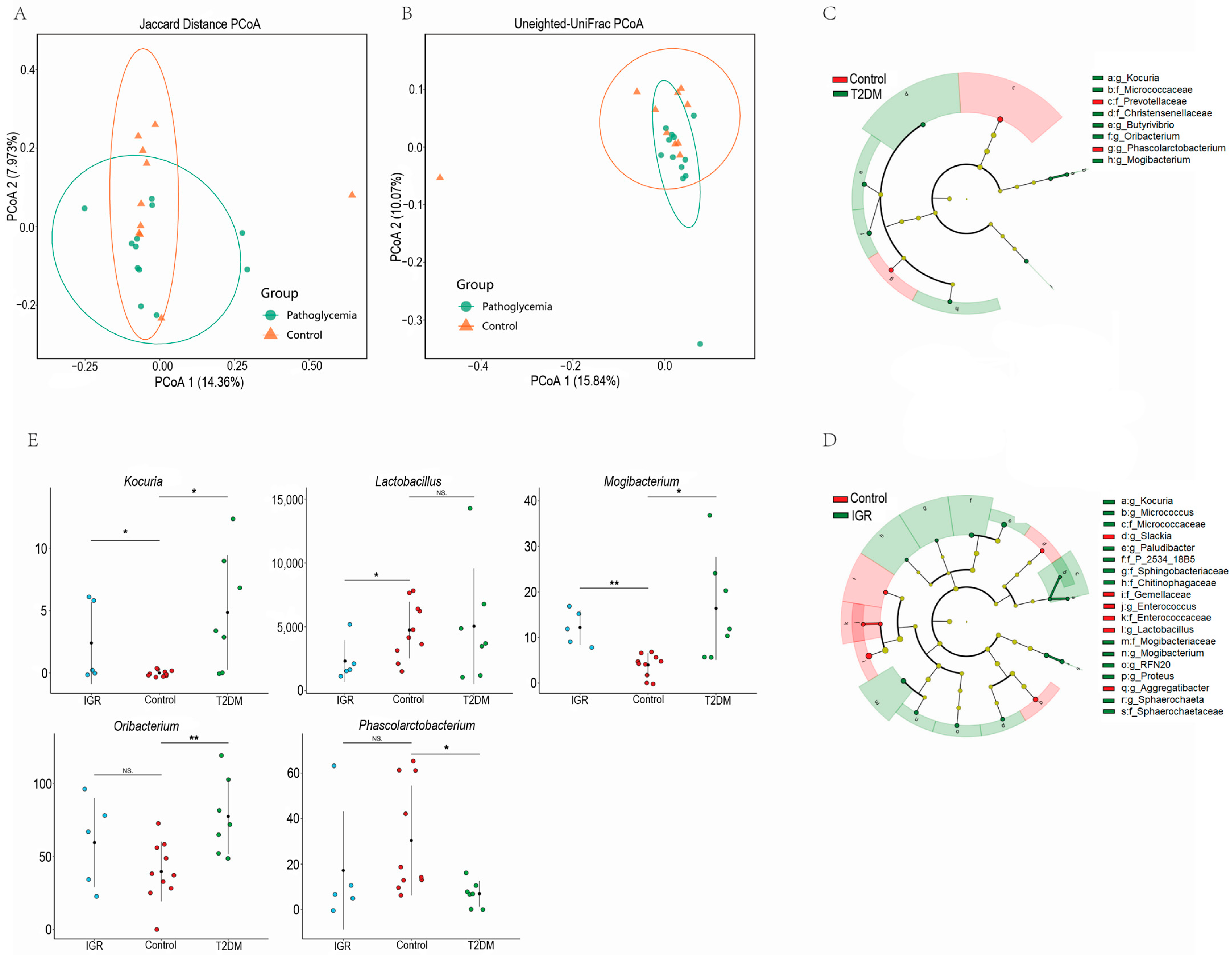 Genes 13 01513 g001 Genes 13 01513 g001