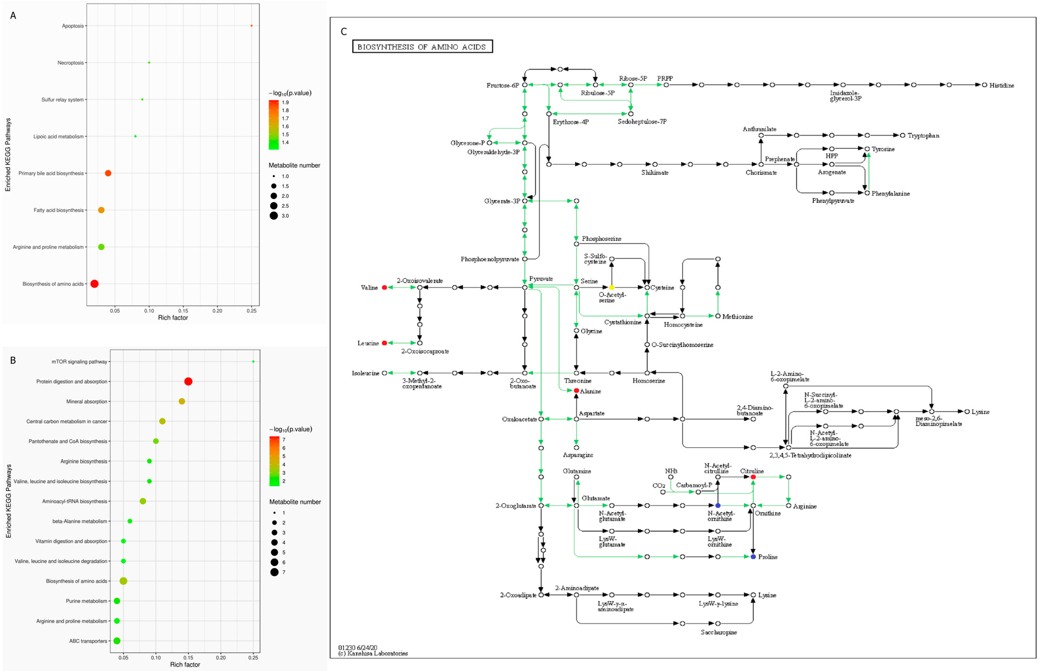 Genes 13 01513 g004 Genes 13 01513 g004
