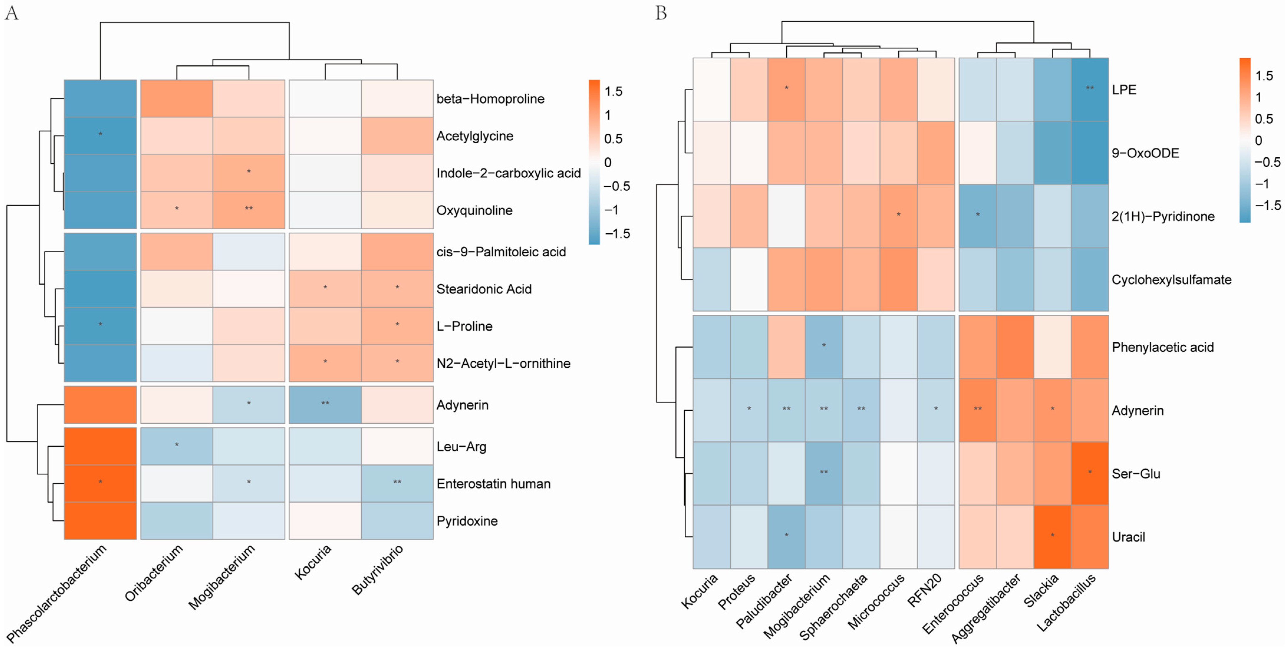 Genes 13 01513 g005 Genes 13 01513 g005