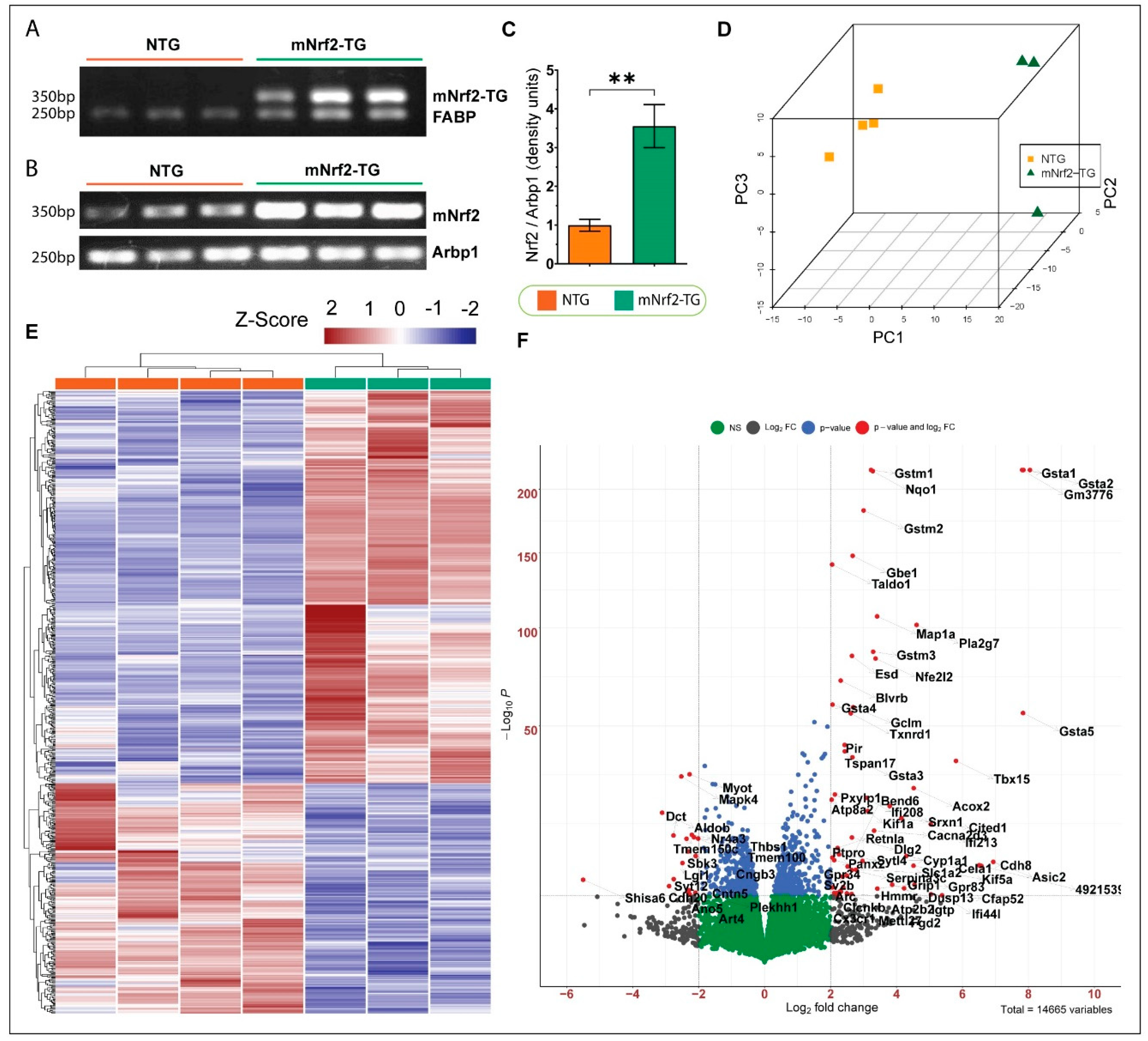 Genes 13 01514 g001 550