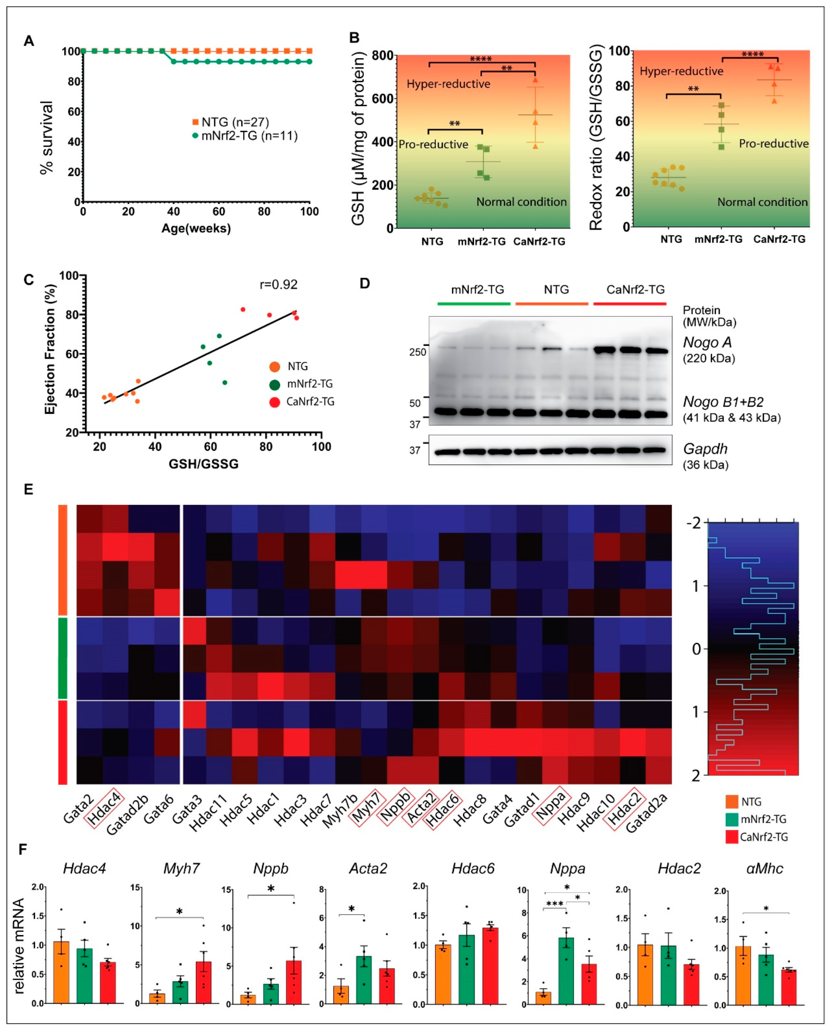Genes 13 01514 g004 550