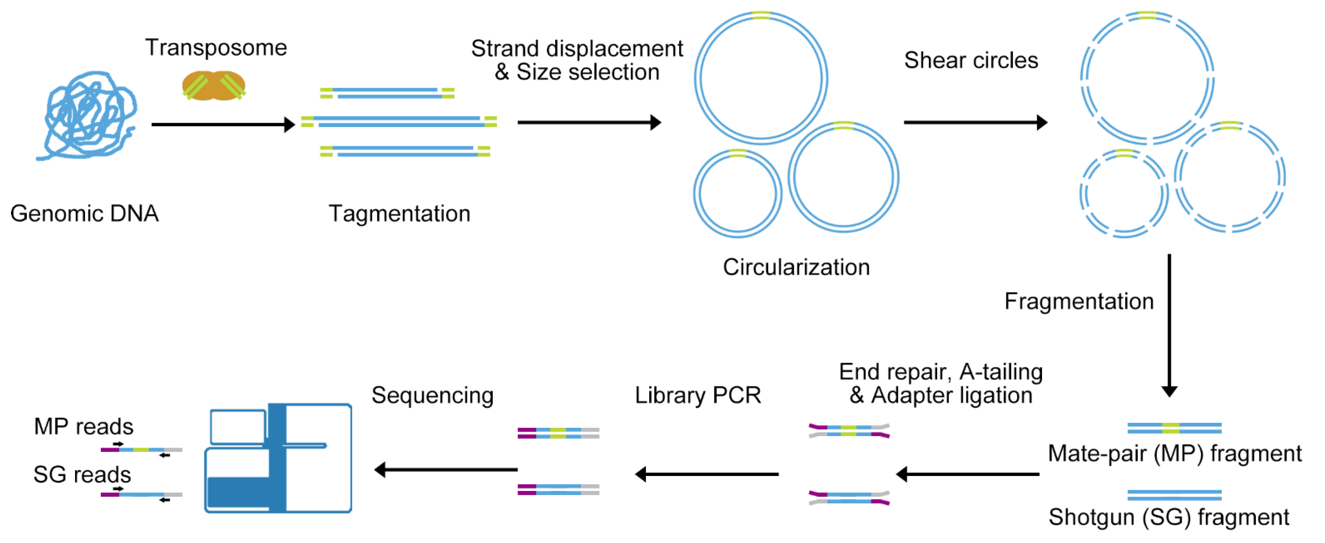 next generation sequence analysis next generation sequence analysis