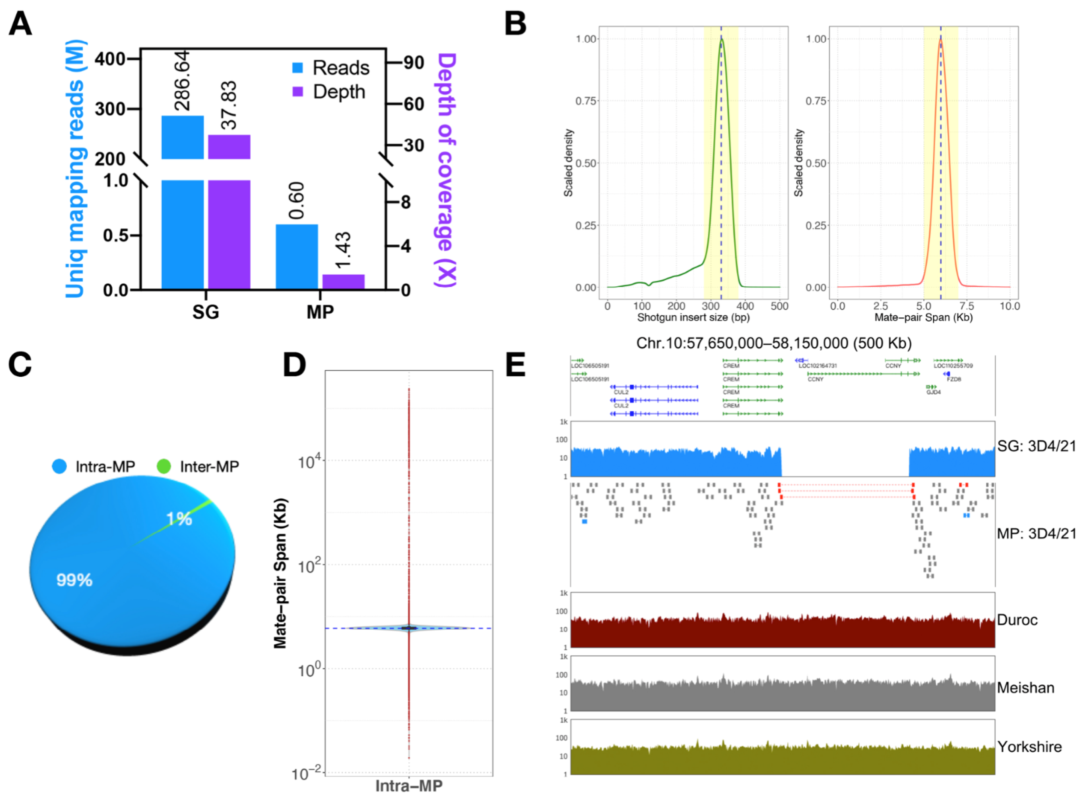 Genes 13 01515 g002 Genes 13 01515 g002