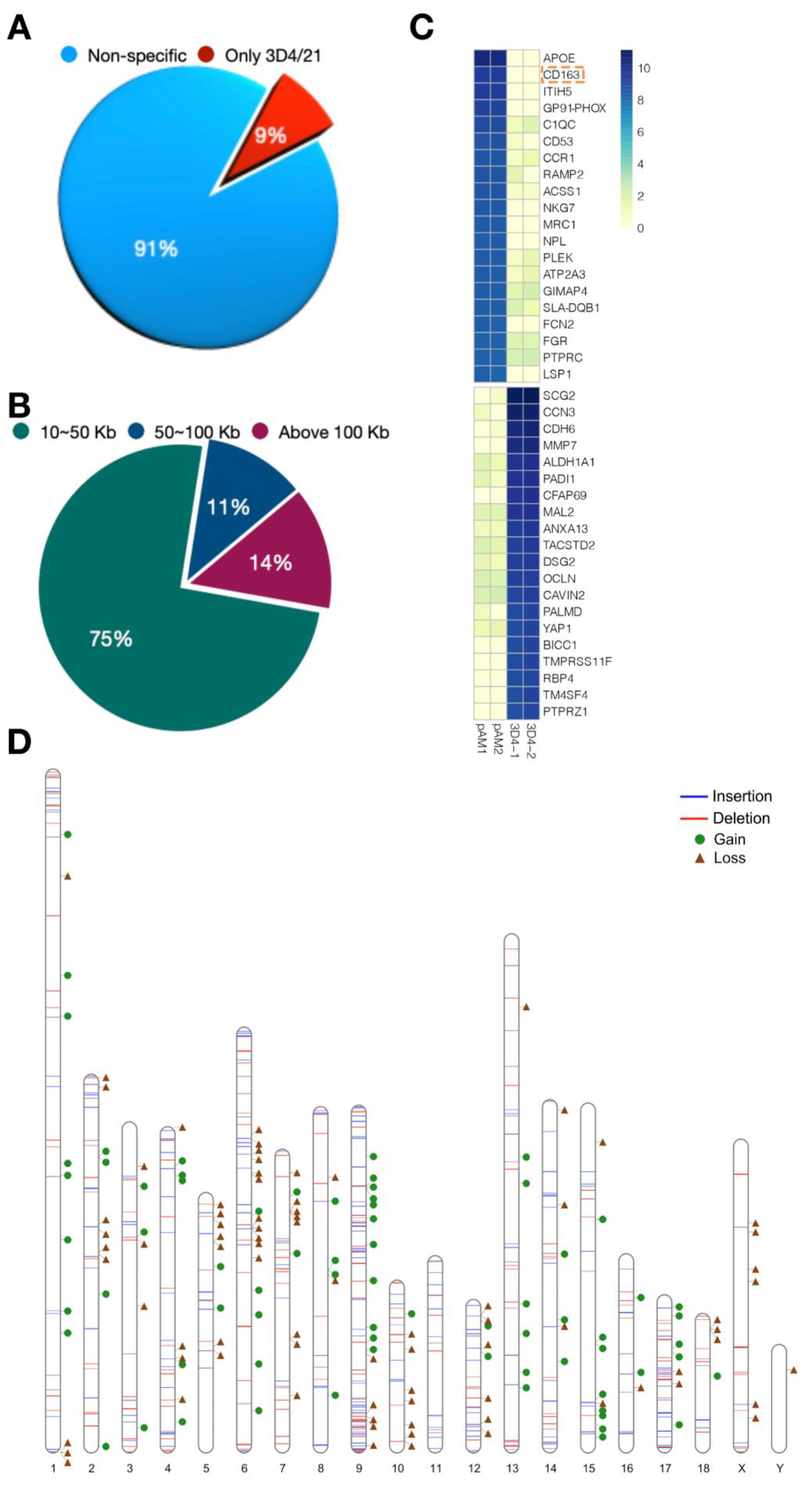 Genes 13 01515 g003 Genes 13 01515 g003