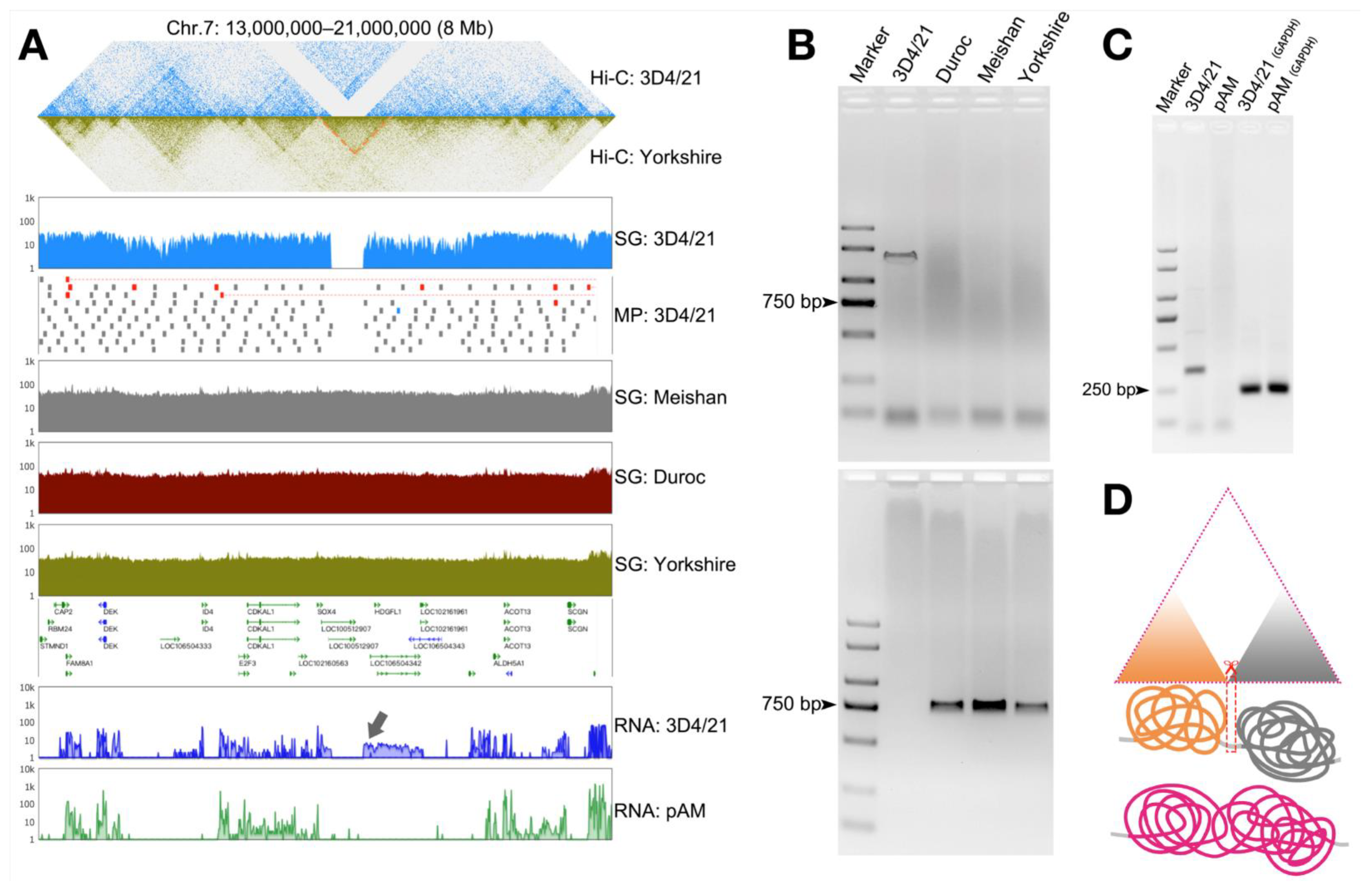 Genes 13 01515 g005 Genes 13 01515 g005