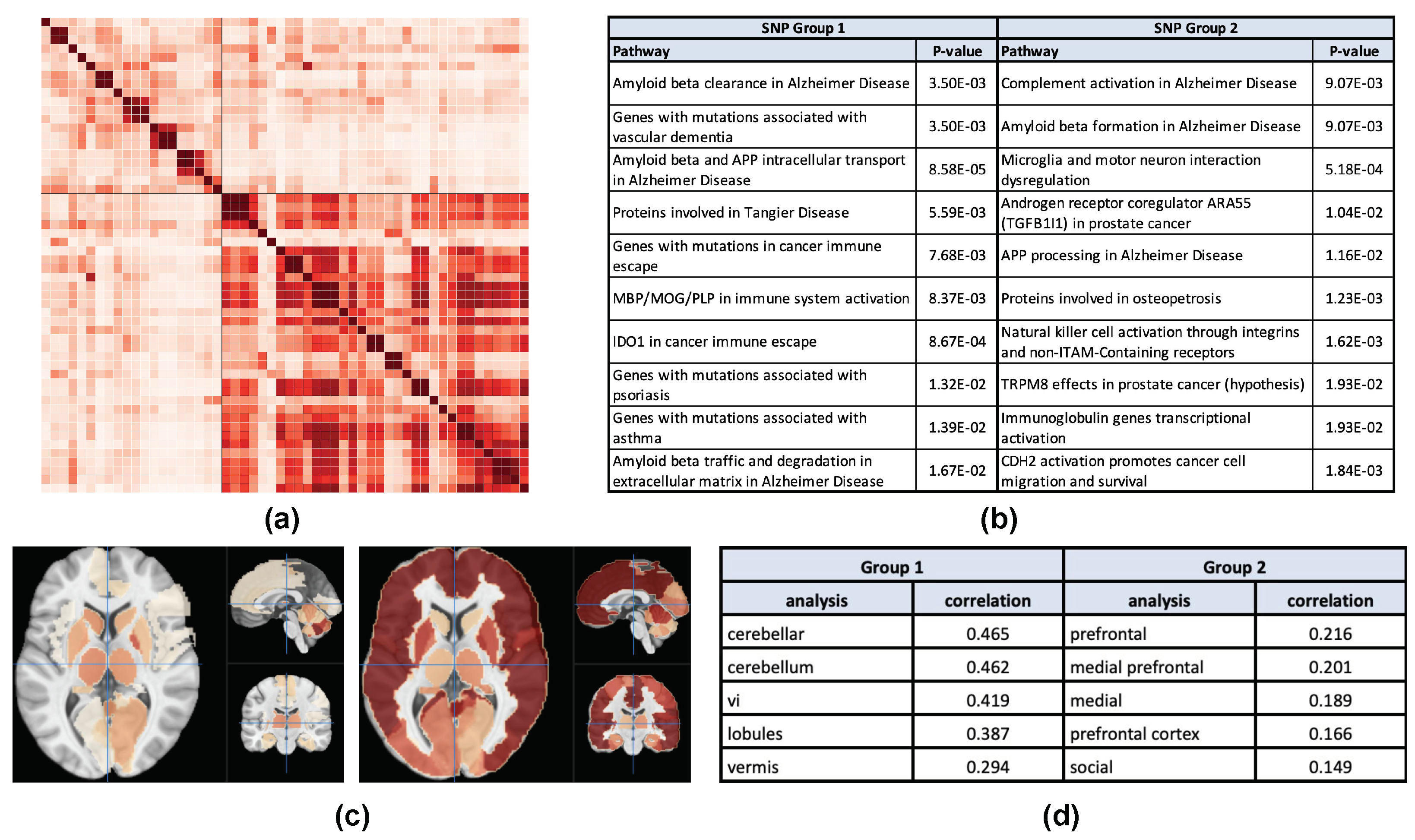 Mining High-Level Imaging Genetic Associations via