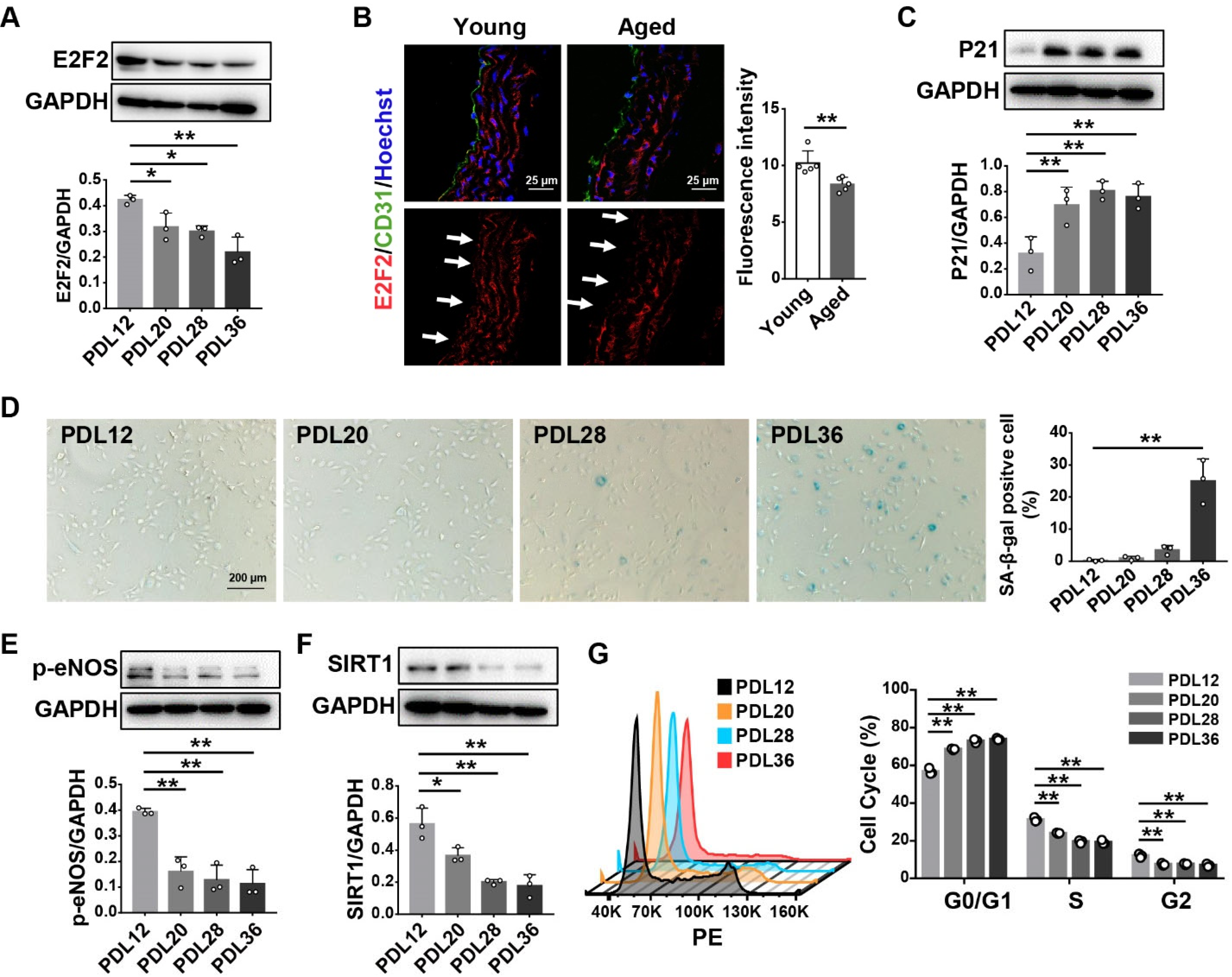 Genes 13 01522 g001 550