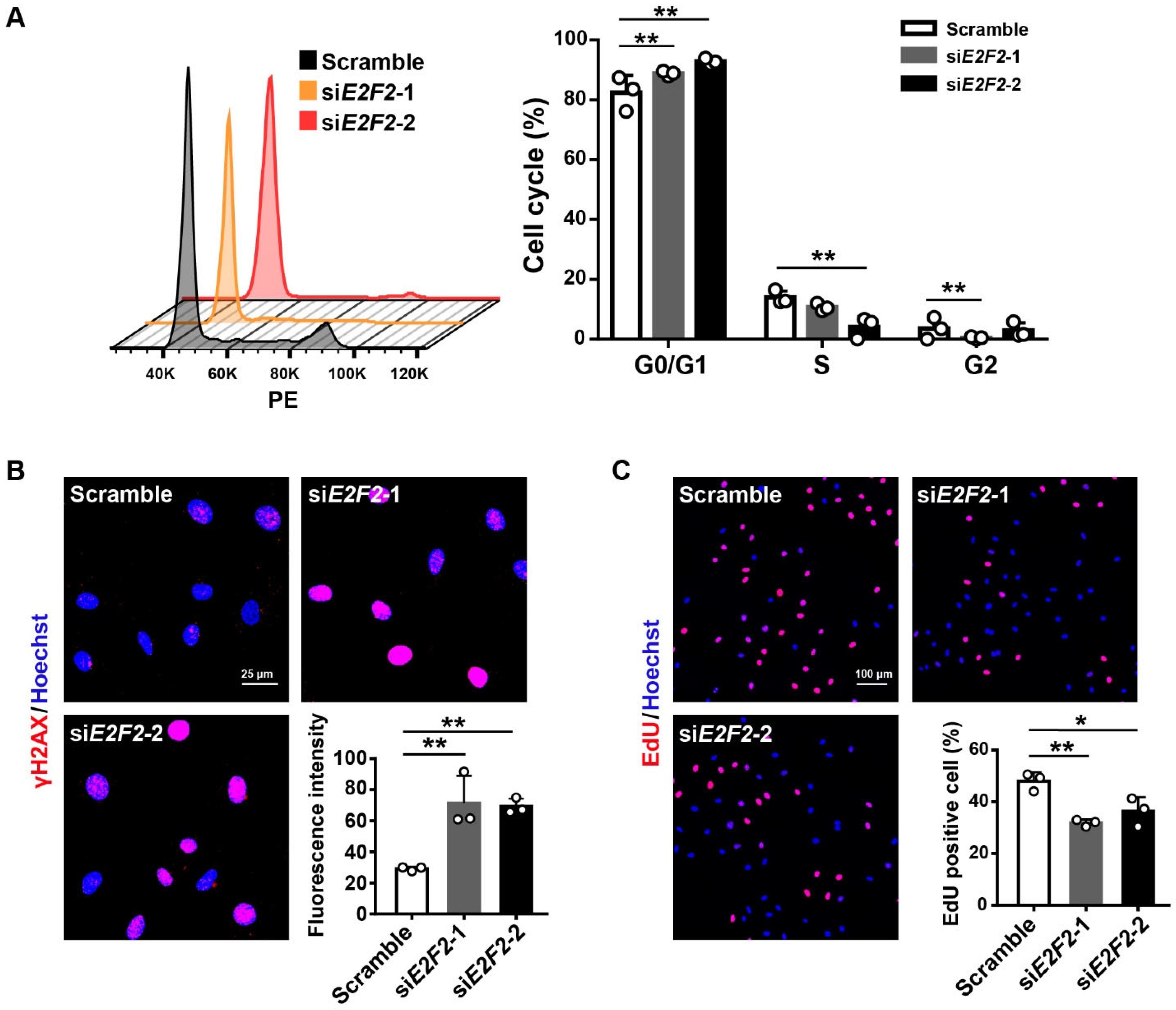 Genes 13 01522 g003 550