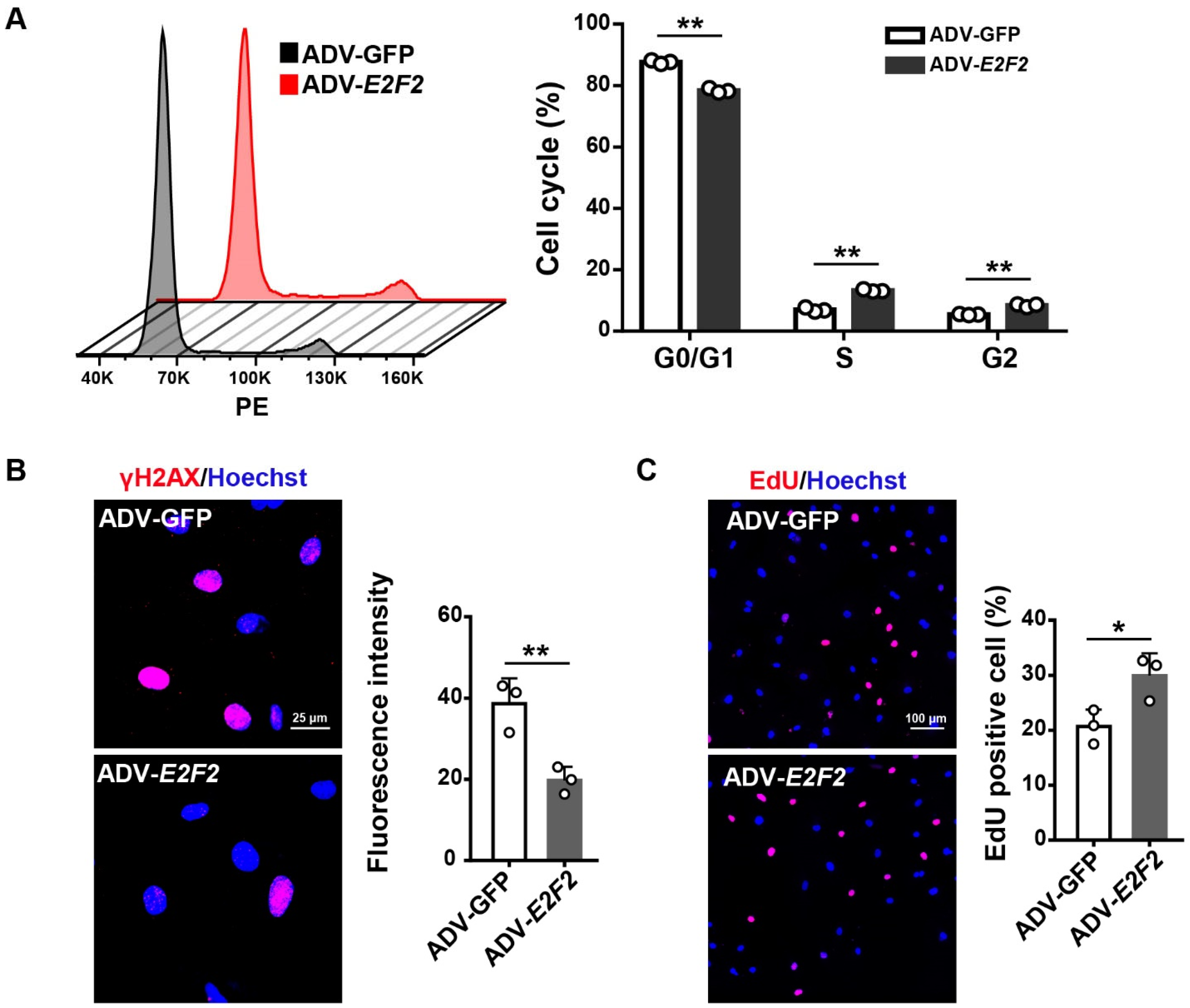 Genes 13 01522 g005 550