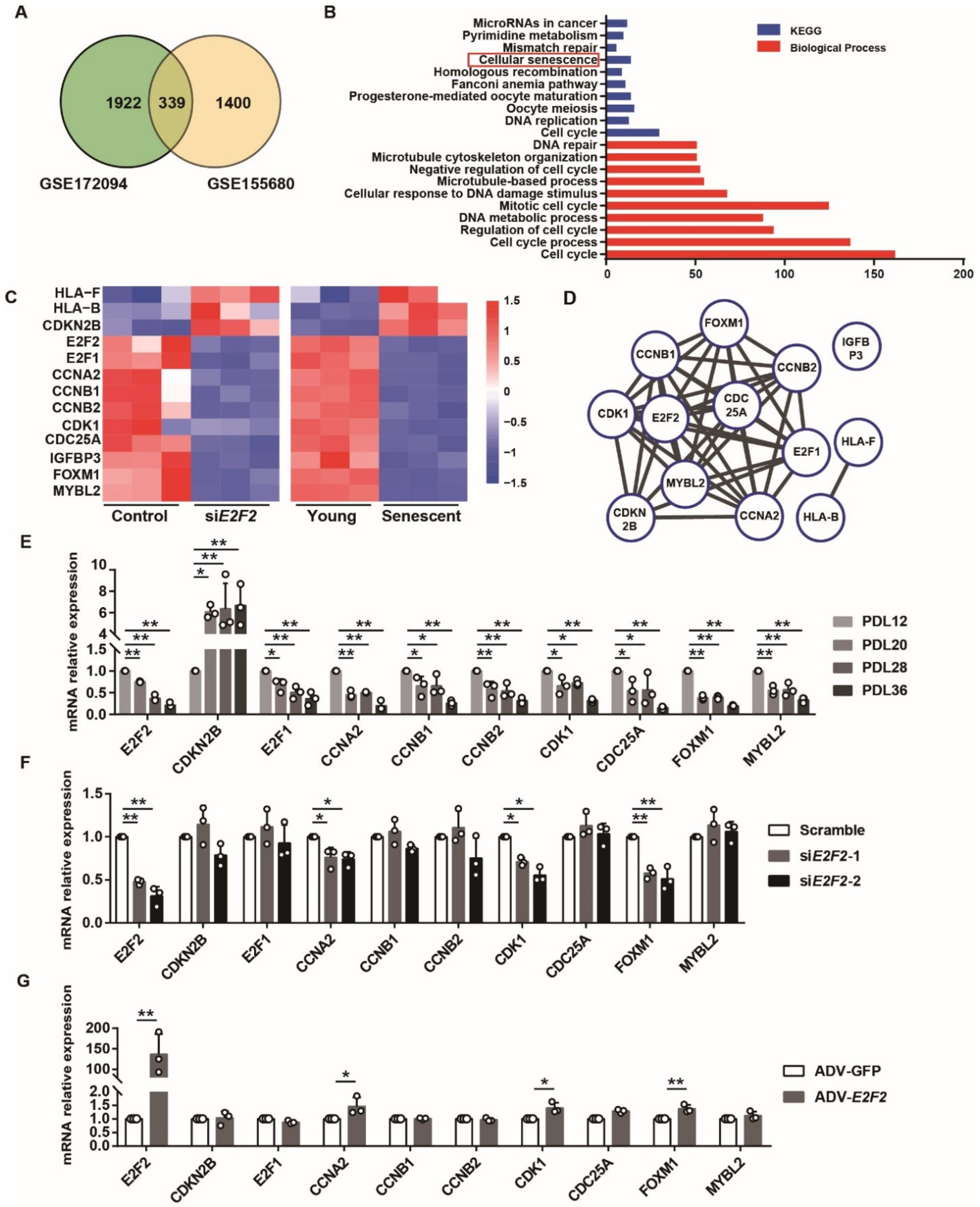 Genes 13 01522 g006 550