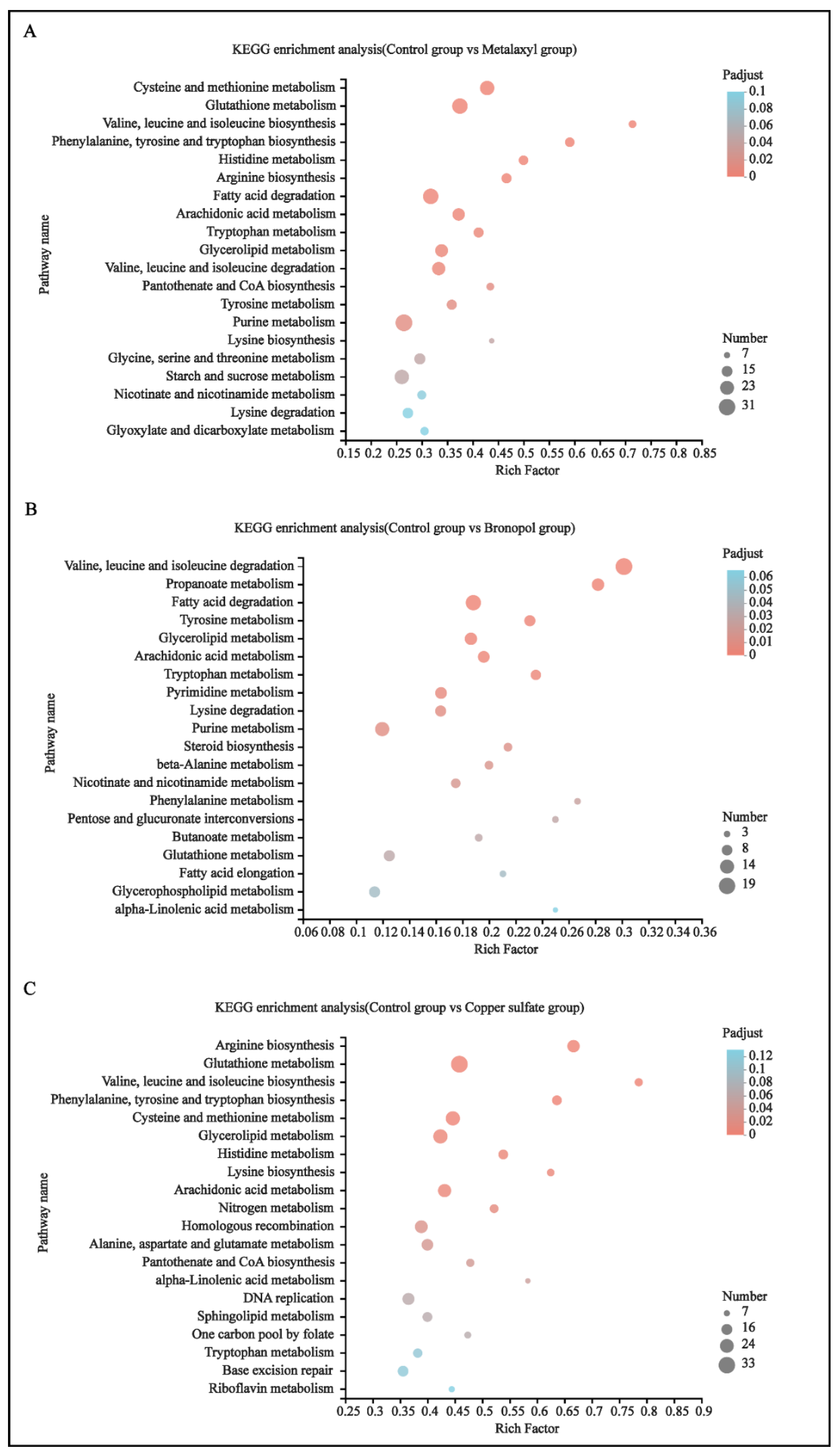 Genes 13 01524 g005