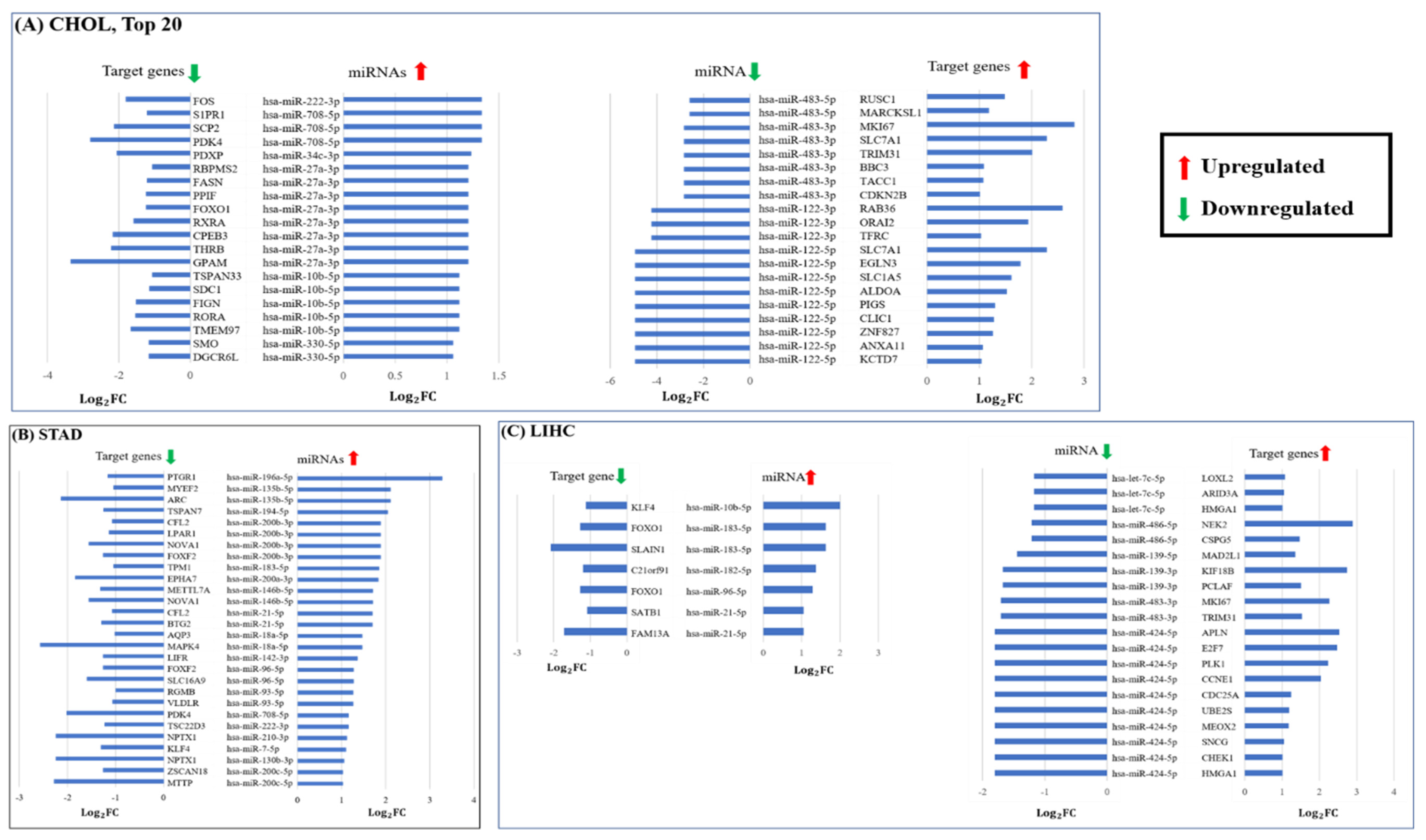 Genes 13 01528 g0a2 550