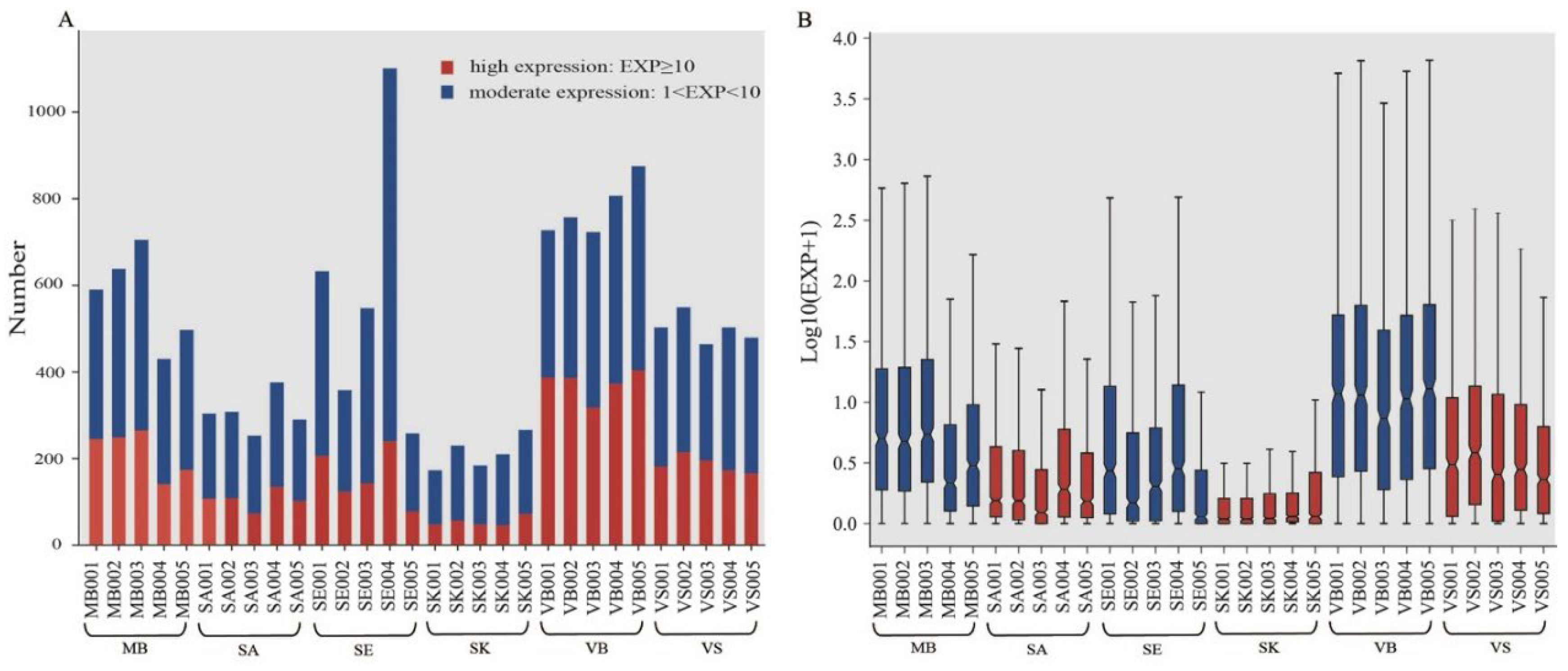 Genes 13 01530 g004 550