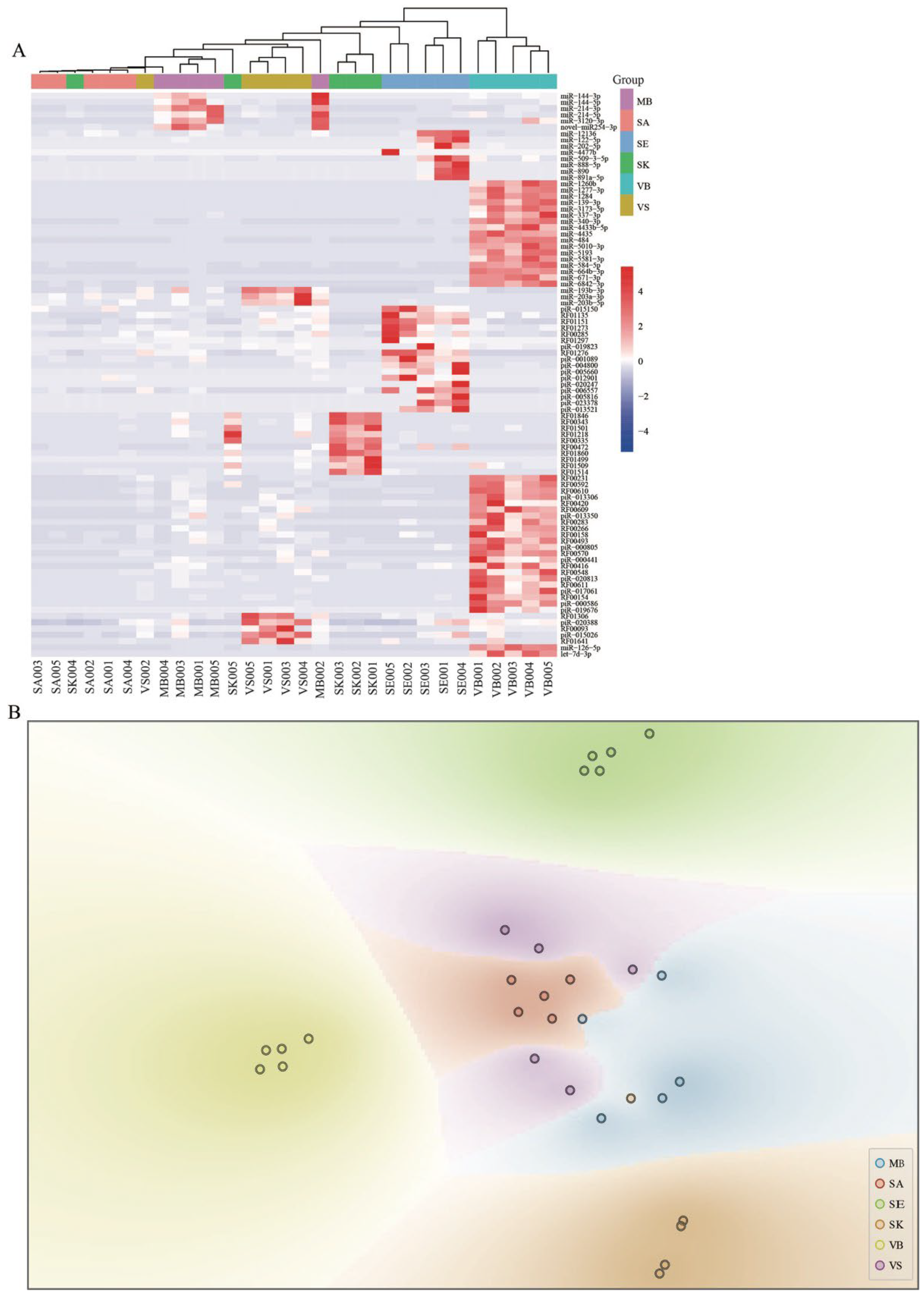 Genes 13 01530 g005 550