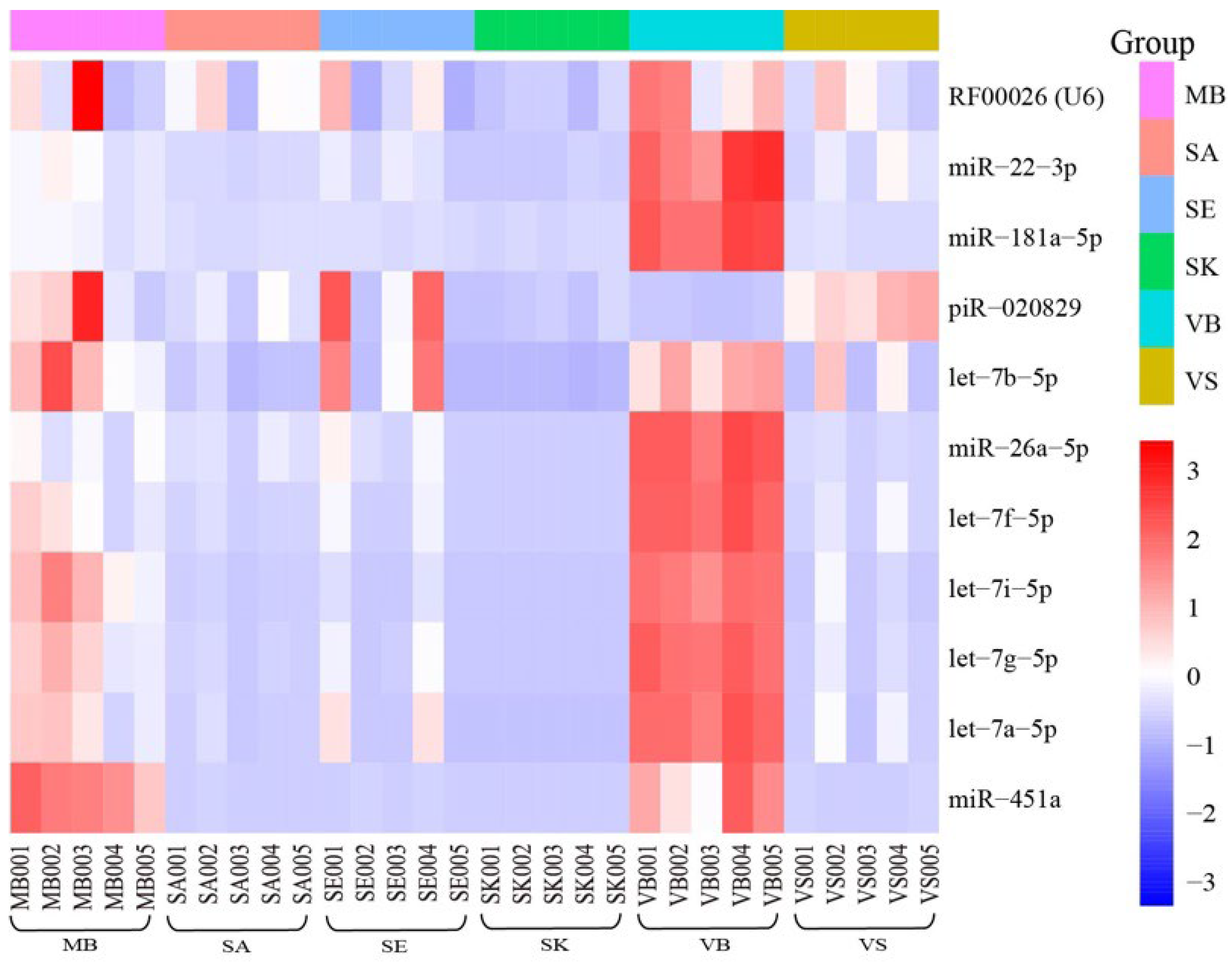 Genes 13 01530 g007 550