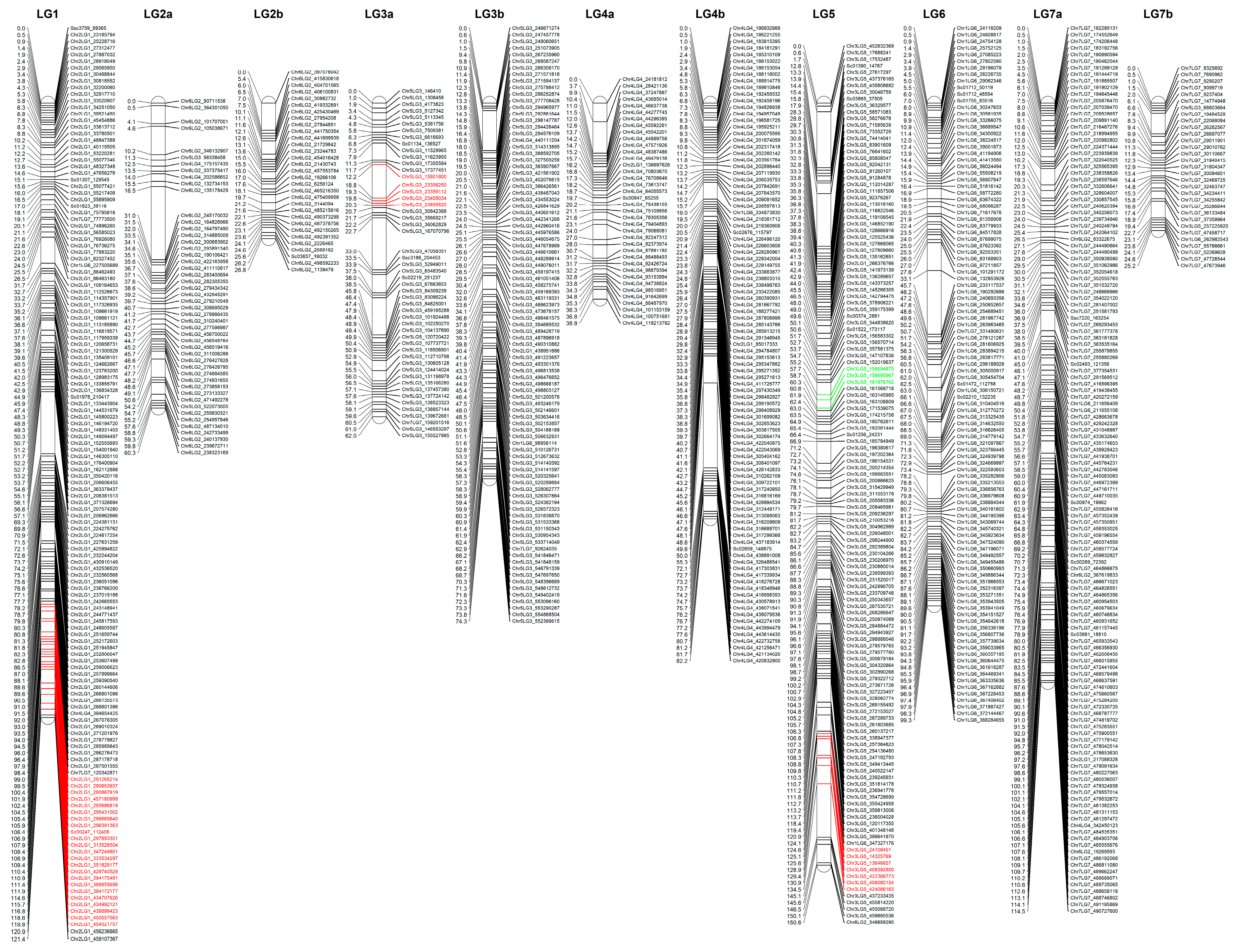Genes 13 01531 g001 550