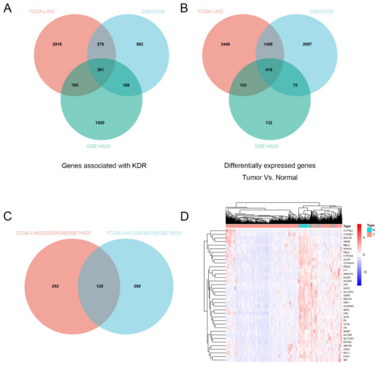 PROZ Associated with Sorafenib Sensitivity May Serve as a