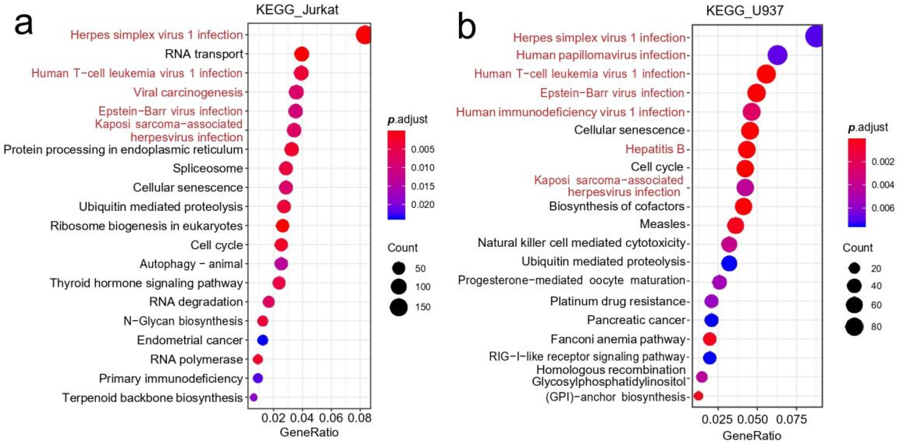 Genes 13 01536 g004