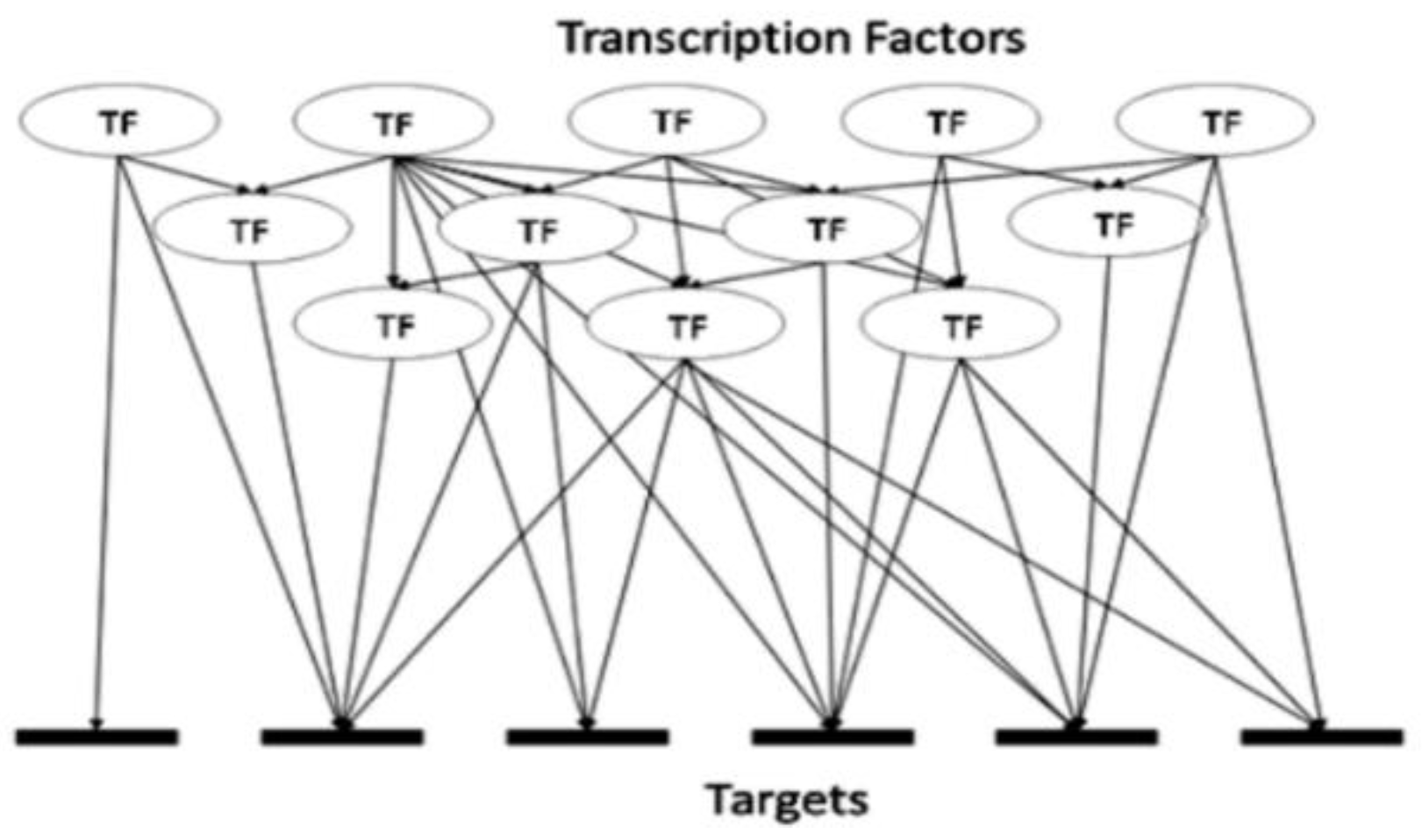 Genes 13 01538 g001 550